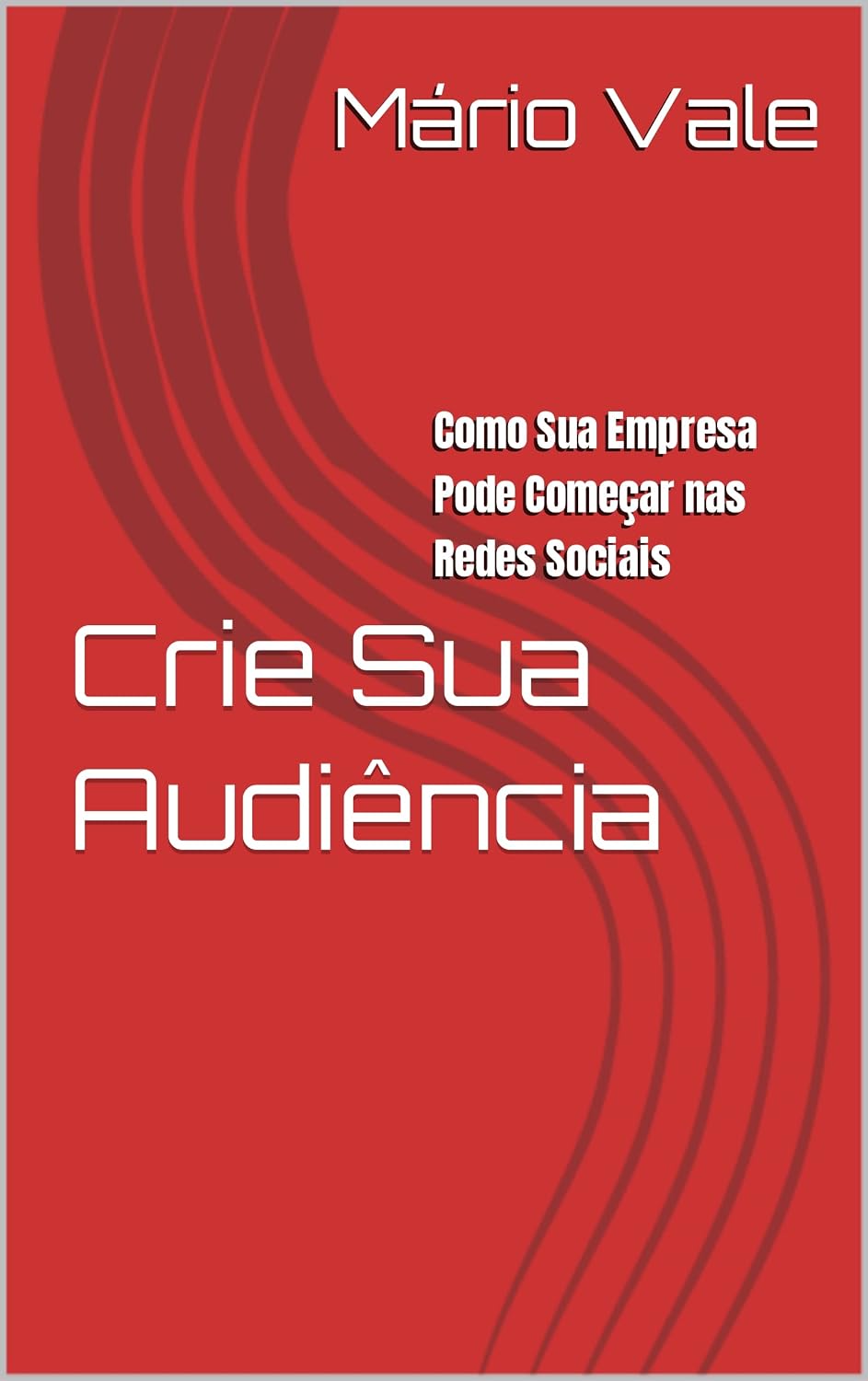 Crie Sua Audiência: Como Sua Empresa Pode Começar nas Redes Sociais baixar livro de graça