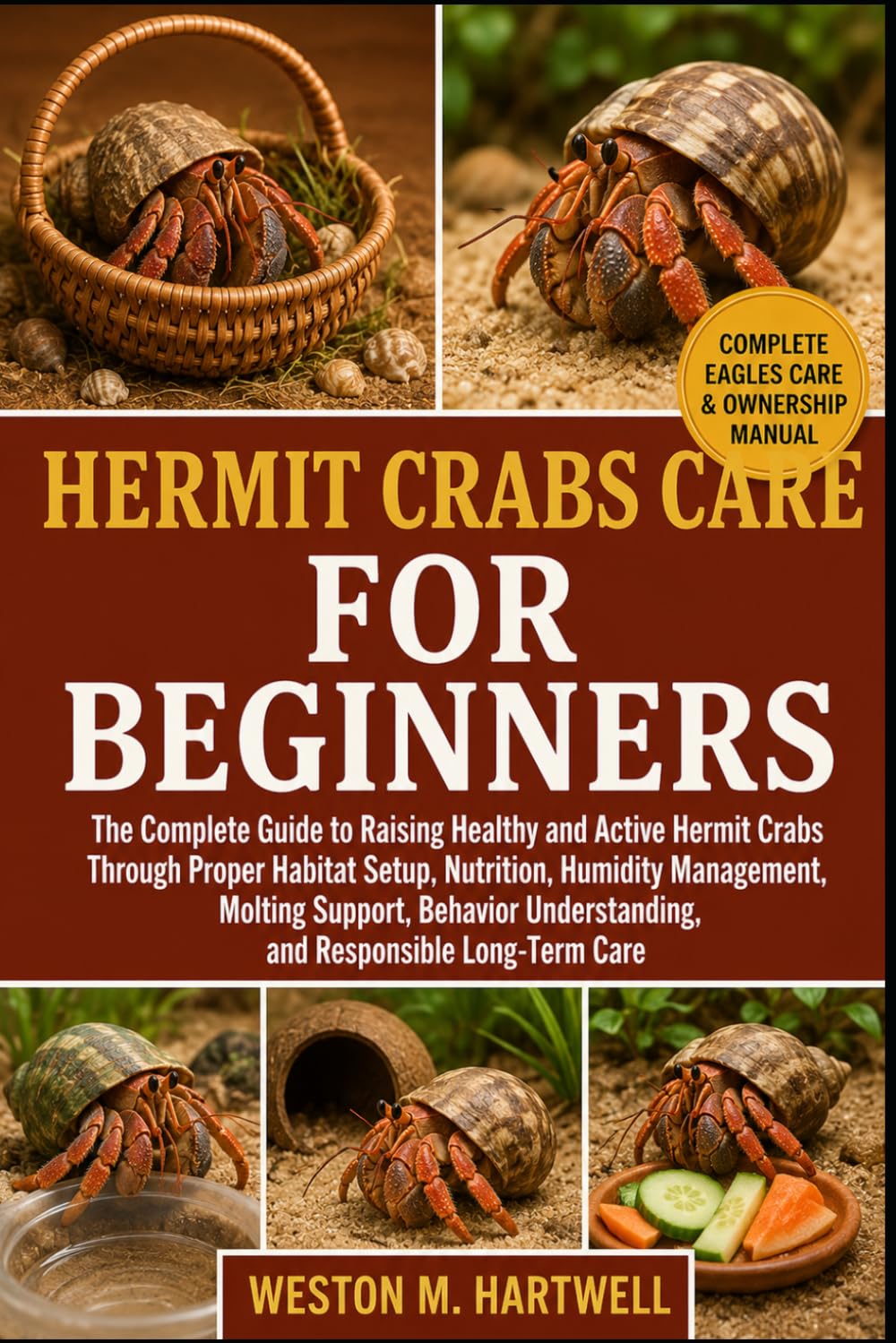 Hermit Crabs Care for Beginners: The Complete Guide to Raising Healthy and Active Hermit Crabs Through Proper Habitat Setup, Nutrition, Humidity... Understanding, and Responsible Long-Term Care baixar o livro de graça