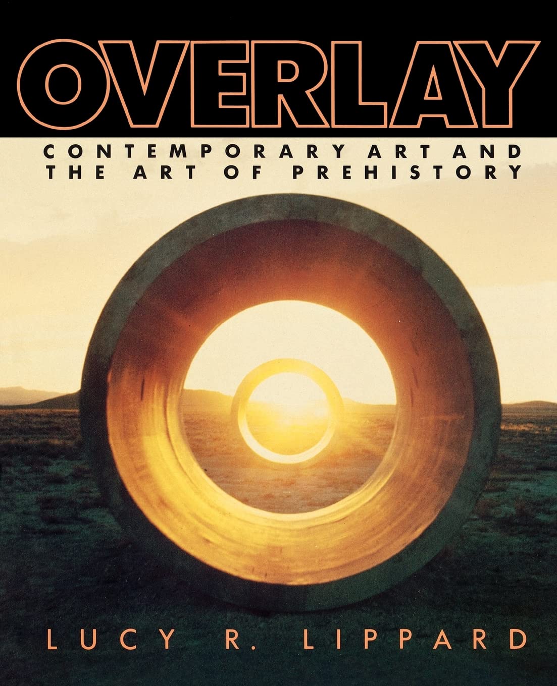 ler totalmente Overlay: Contemporary Art and the Art of Prehistory