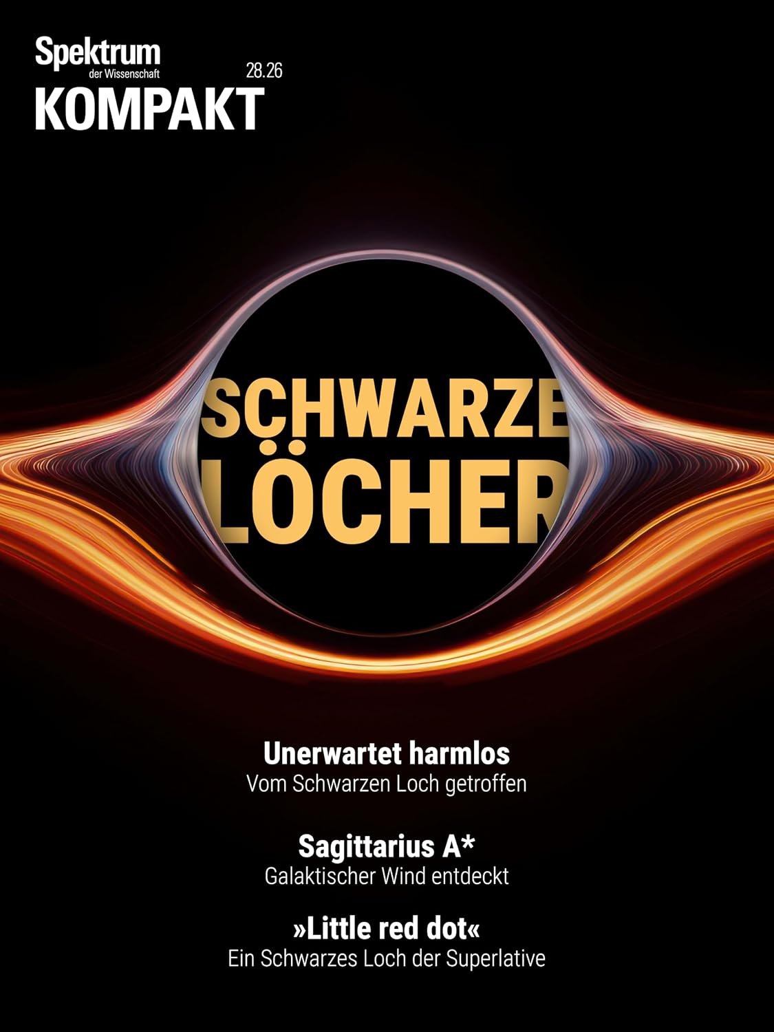 ler totalmente Spektrum Kompakt - Schwarze Löcher (German Edition)