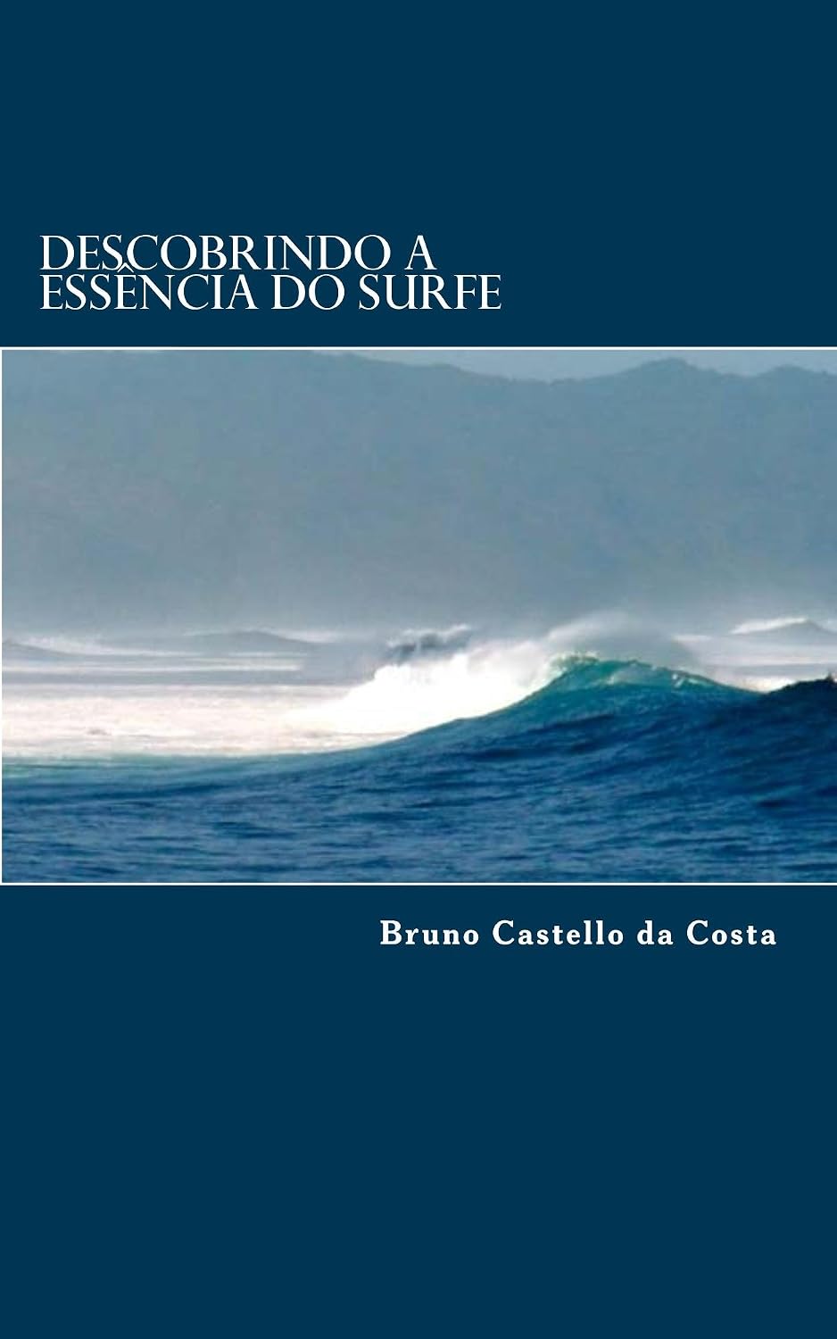 Descobrindo a Essência do Surfe baixar livro de graça