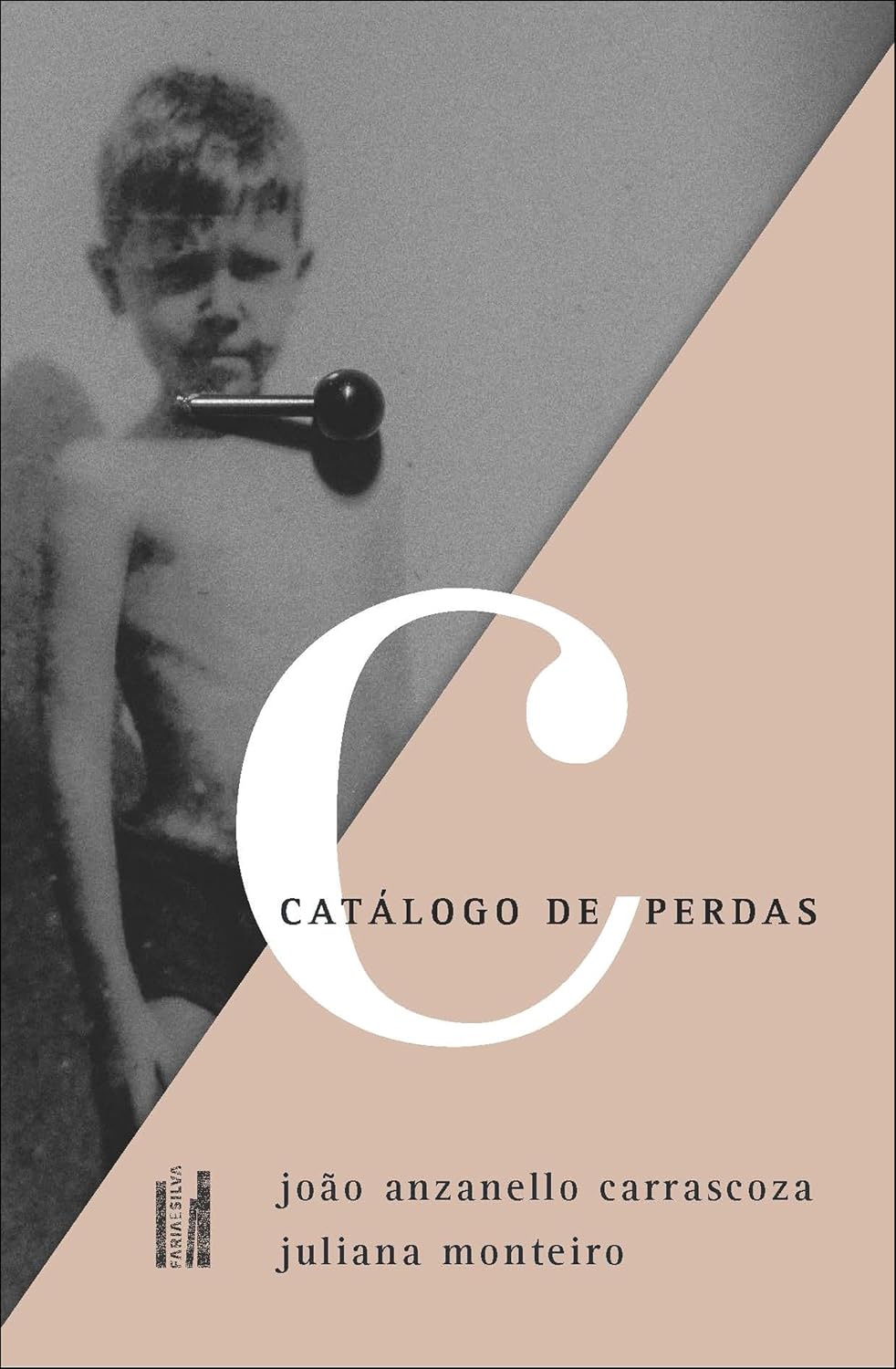 ler totalmente Catálogo de perdas