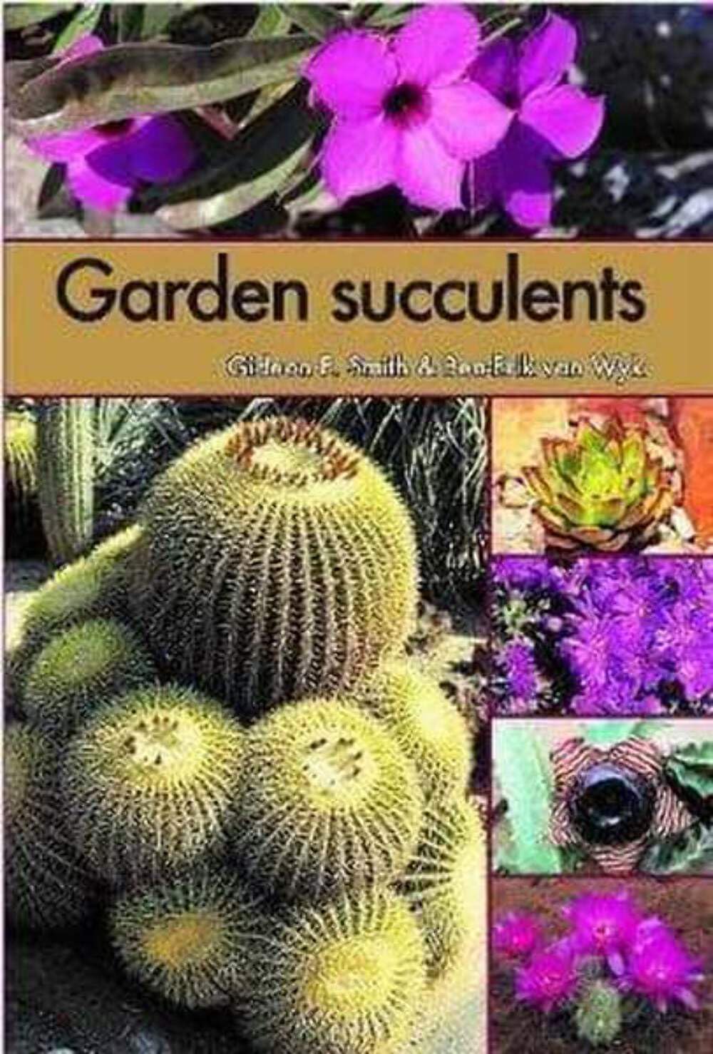 ler totalmente Garden Succulents
