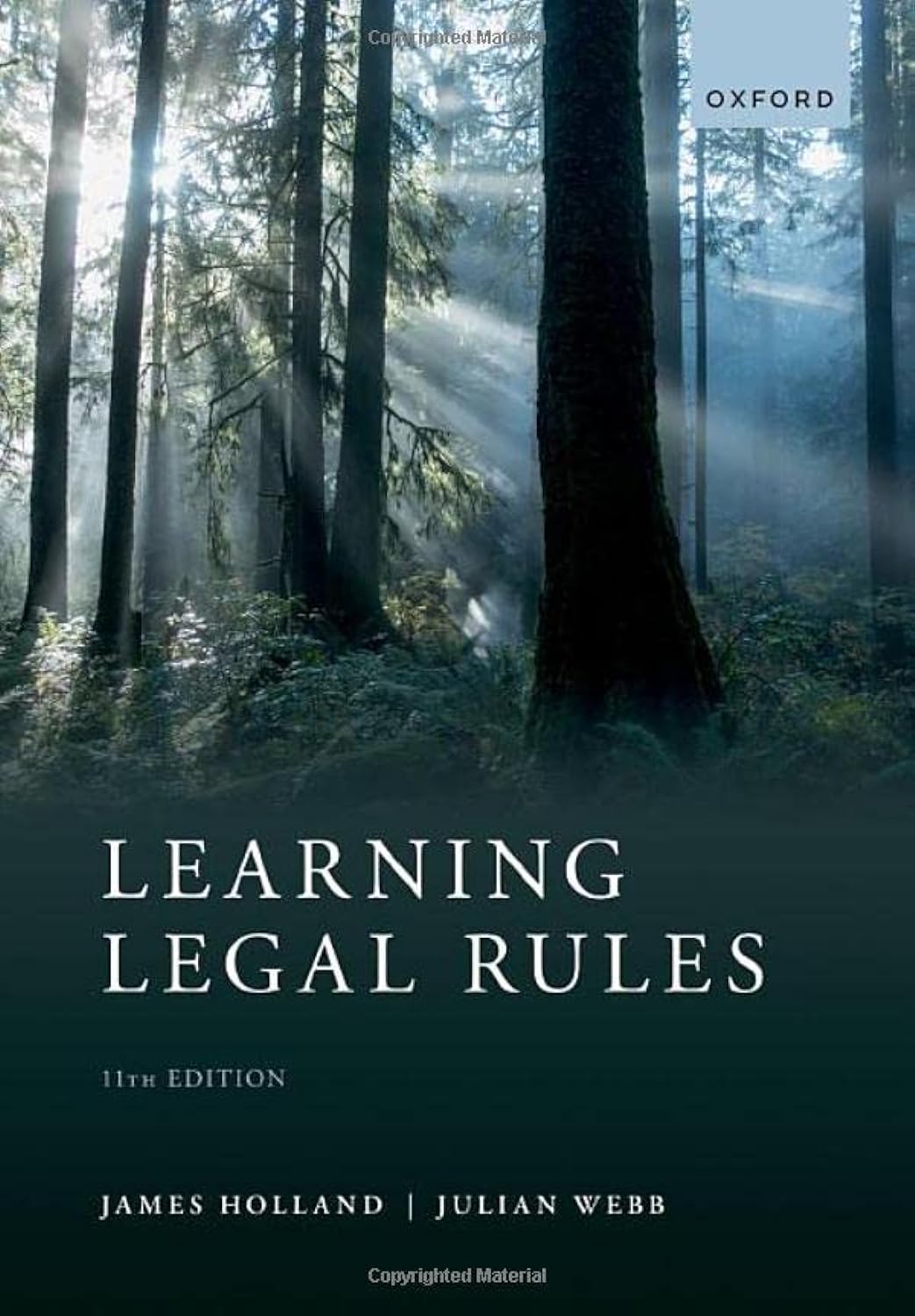 ler totalmente Learning Legal Rules: A Students' Guide to Legal Method and Reasoning