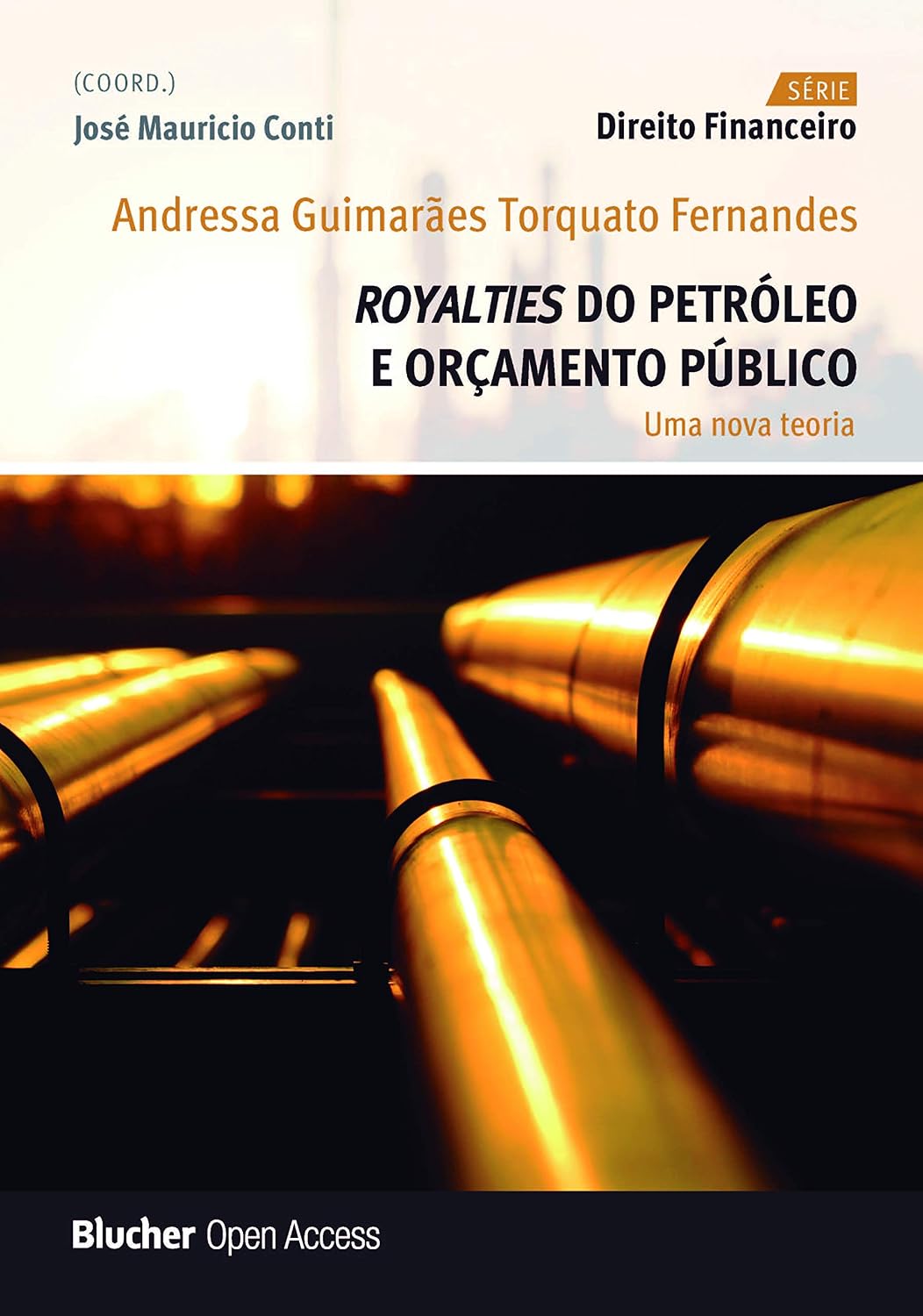 ler totalmente Royalties do Petróleo e Orçamento Público: uma Nova Teoria