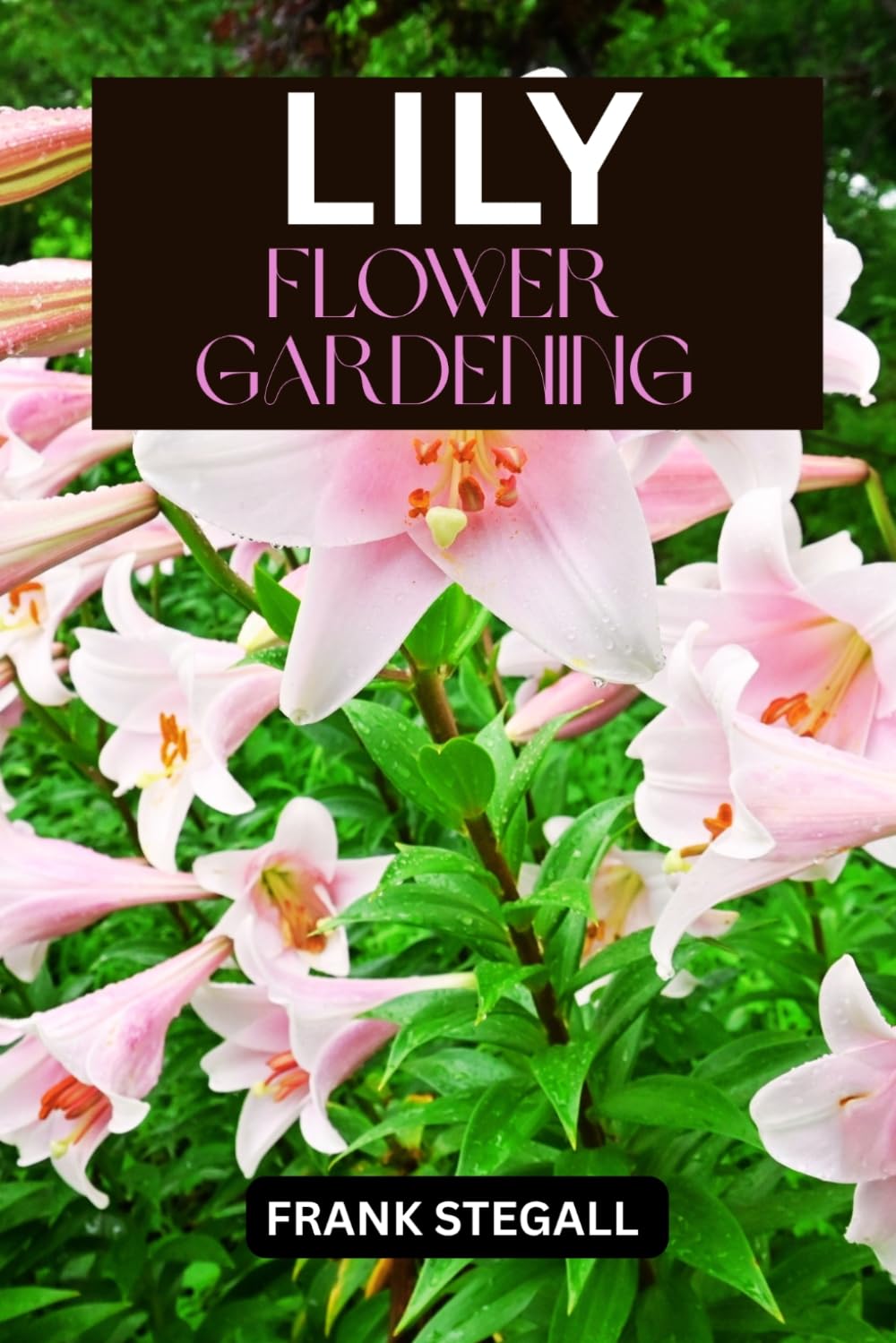 LILY FLOWER GARDENING: STEP BY STEP BEGINNERS GUIDE TO GROWING, CARING AND HARVESTING baixar livro de graça