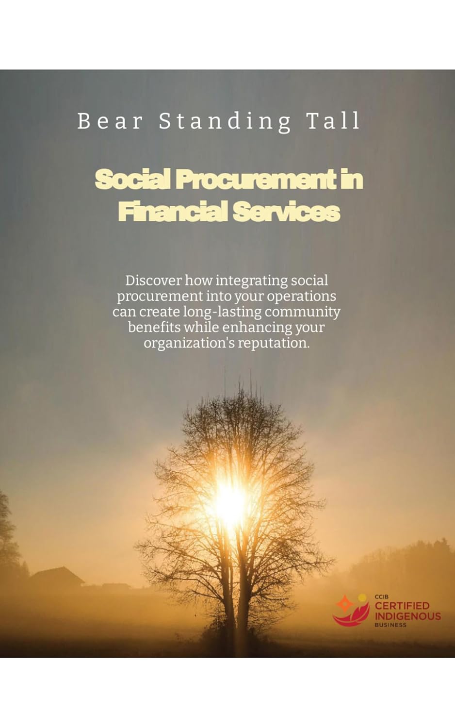 Social Procurement in Financial Services: Discover how integrating social procurement into your operations can create long-lasting community benefits while... Indigenous Peoples Book 4) (English Edition) baixar o livro de graça