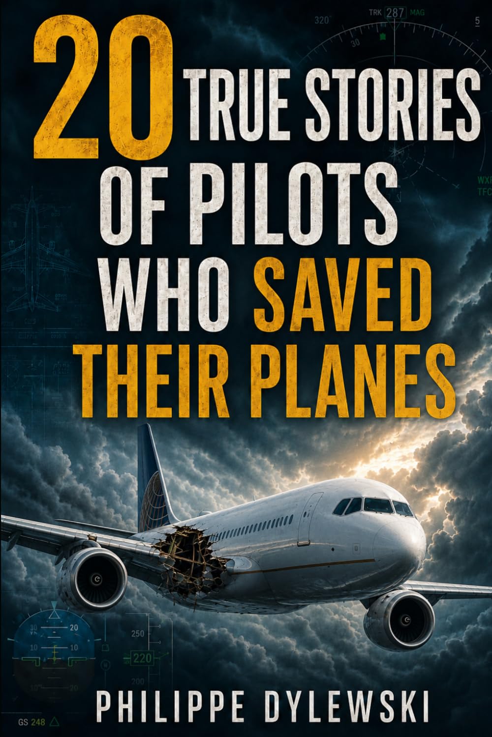 ler totalmente 20 True Stories of Pilots Who Saved Their Planes