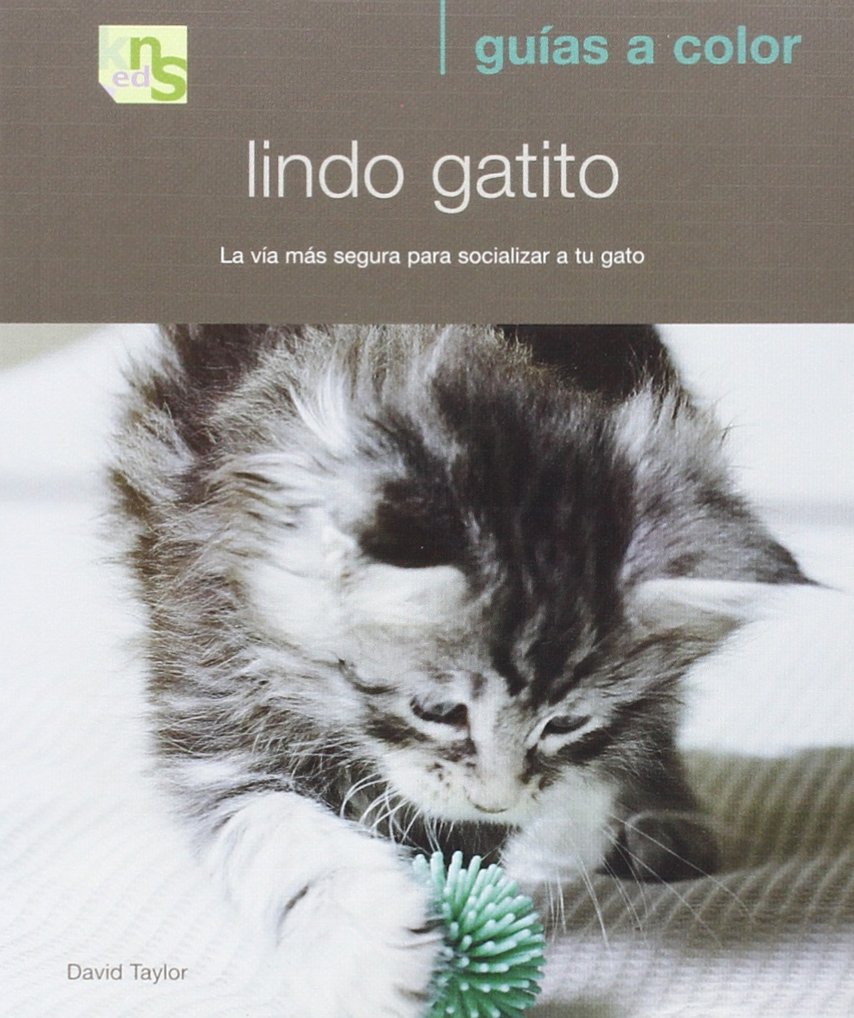 capítulo por capítulo baixar Lindo gatito: La vía más segura para socializar a tu gato