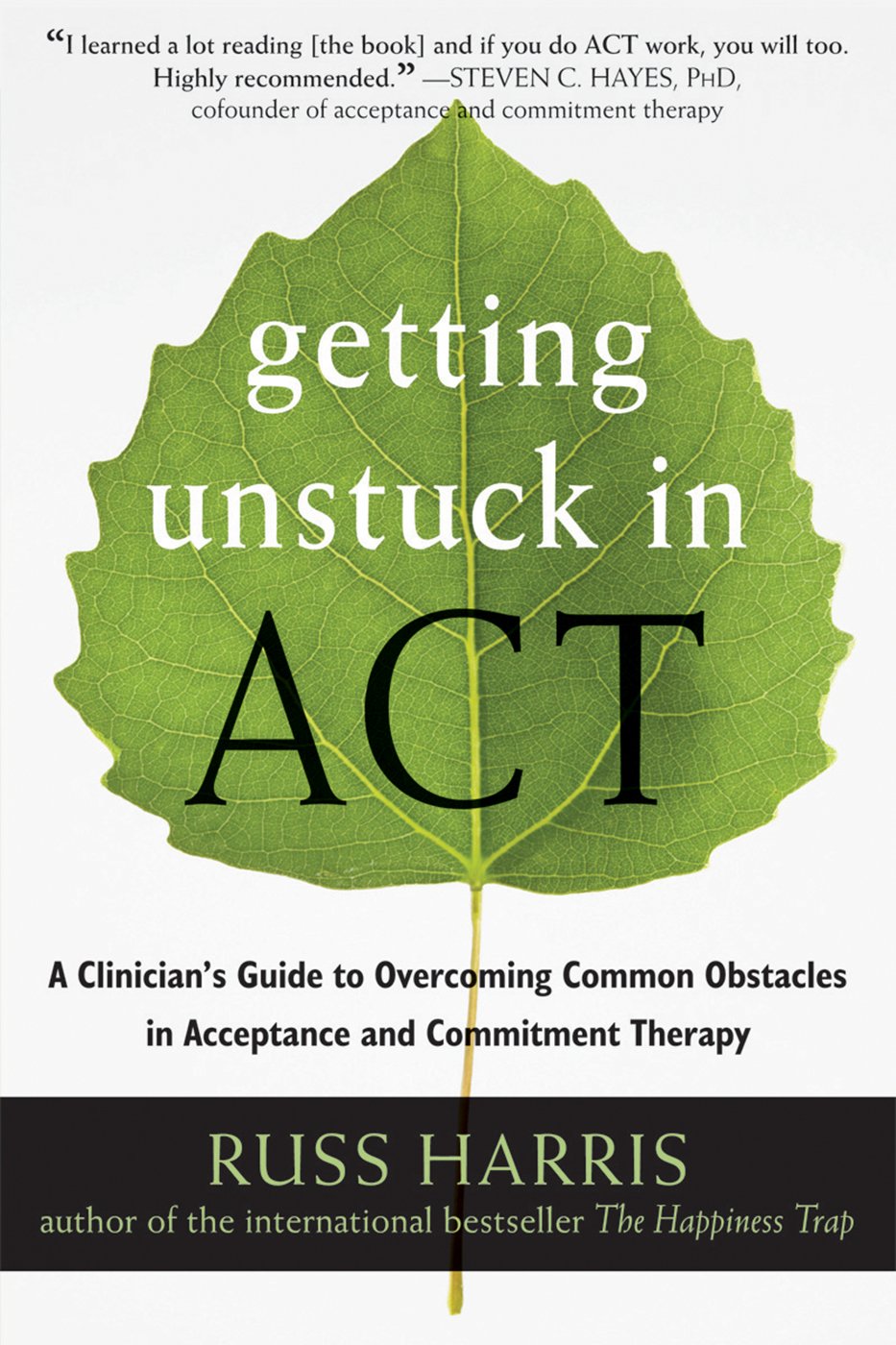 capítulo por capítulo baixar Getting Unstuck in ACT: A Clinician's Guide to Overcoming Common Obstacles in Acceptance and Commitment Therapy (English Edition)