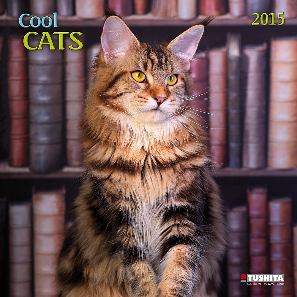 Cool Cats 2015 baixar o livro de graça