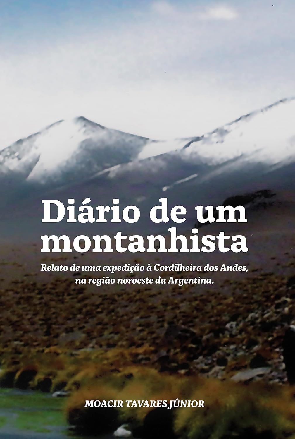 Diário de um montanhista: Relato de uma expedição à cordilheira dos Andes, na região noroeste da Argentina. baixar livro de graça