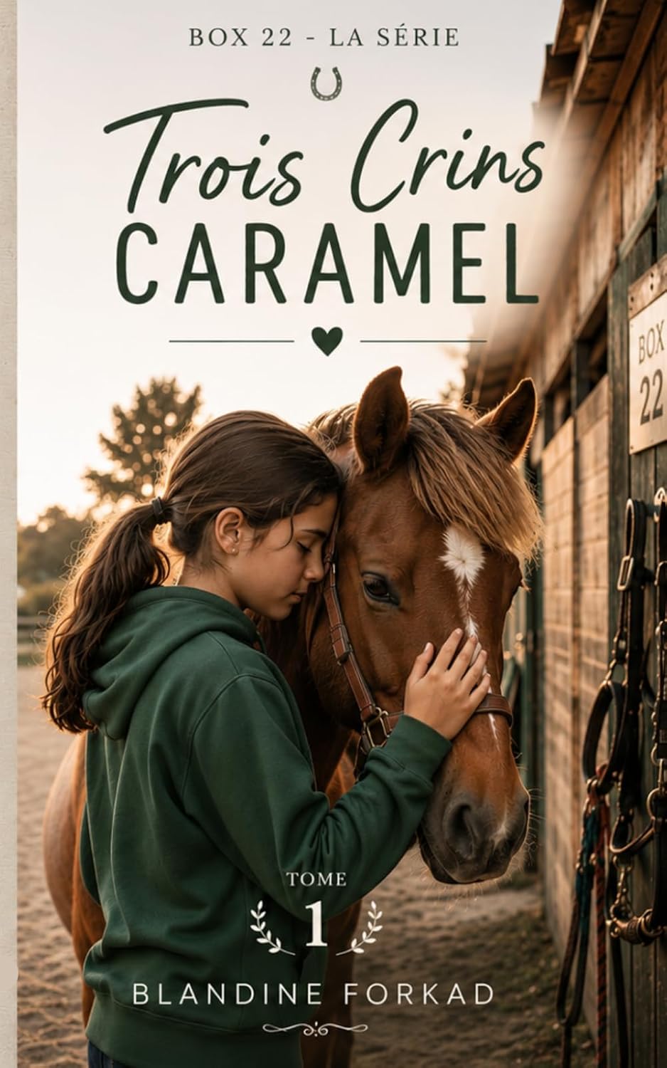 ler totalmente Trois crins caramel: Série jeunesse équestre (Box 22) (French Edition)