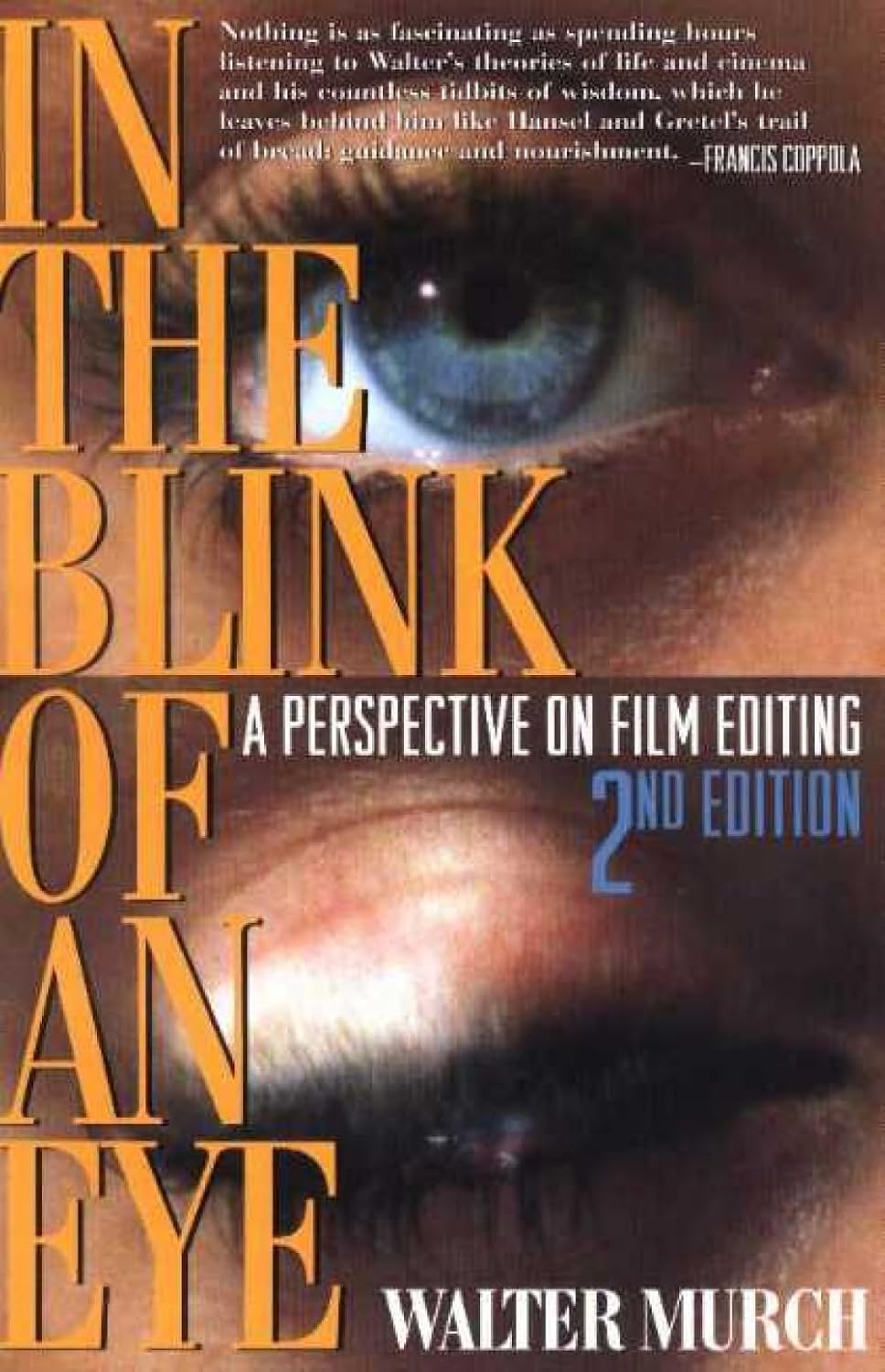 capítulo por capítulo baixar In the Blink of an Eye: A Perspective on Film Editing