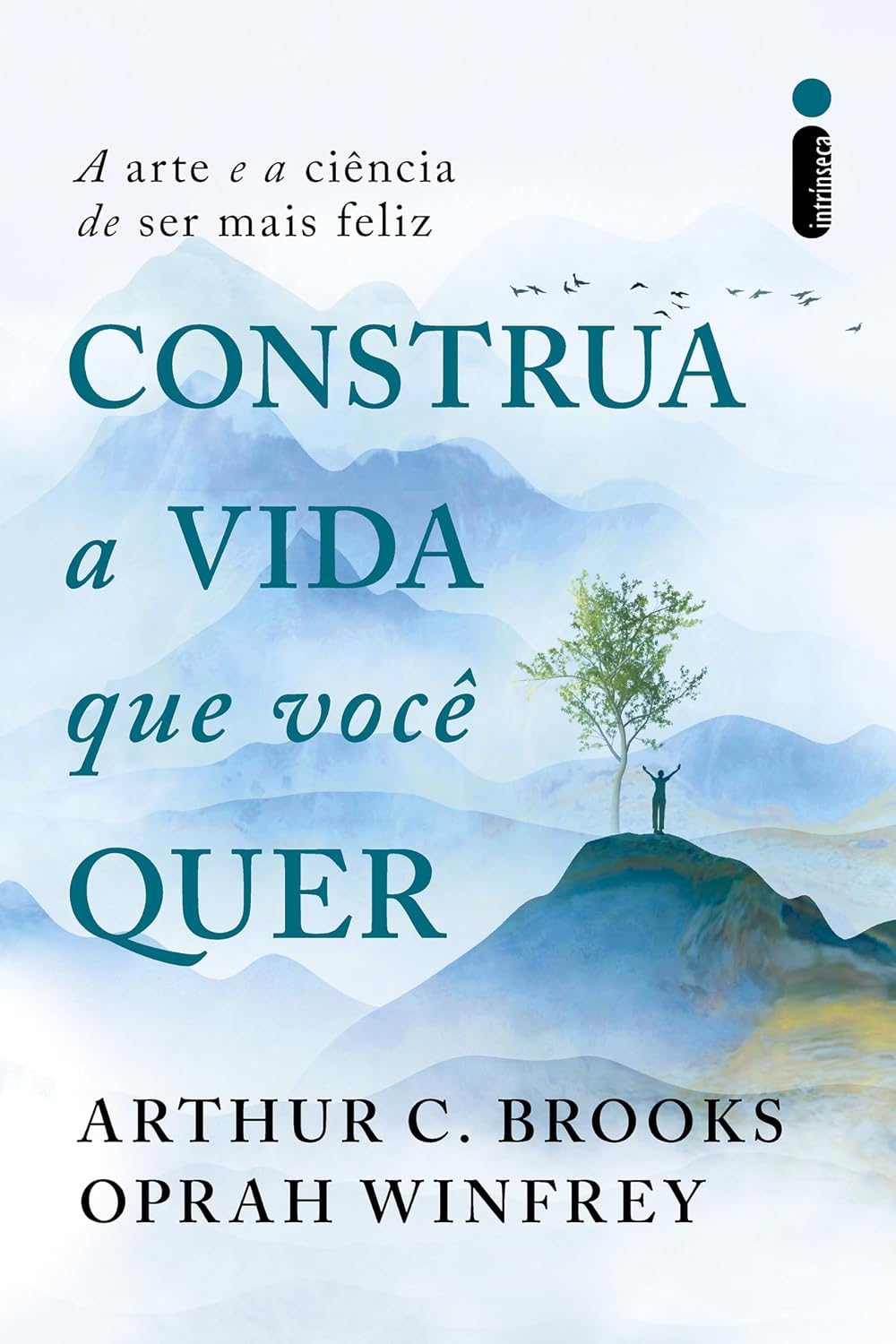 Construa a vida que você quer: A arte e a ciência de ser mais feliz baixar o livro de graça