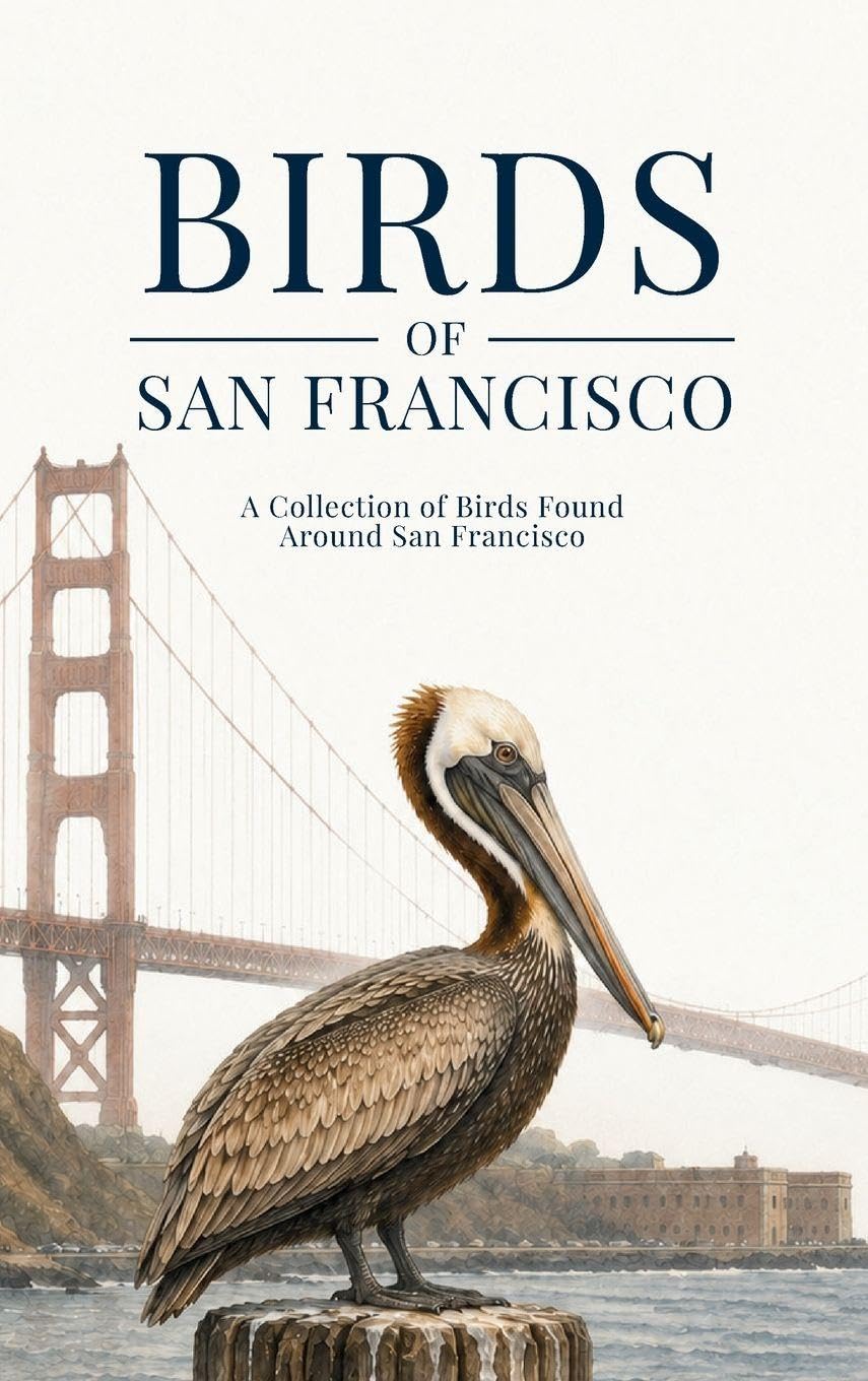 Birds of San Francisco: A Collection of Birds Found Around San Francisco baixar o livro de graça