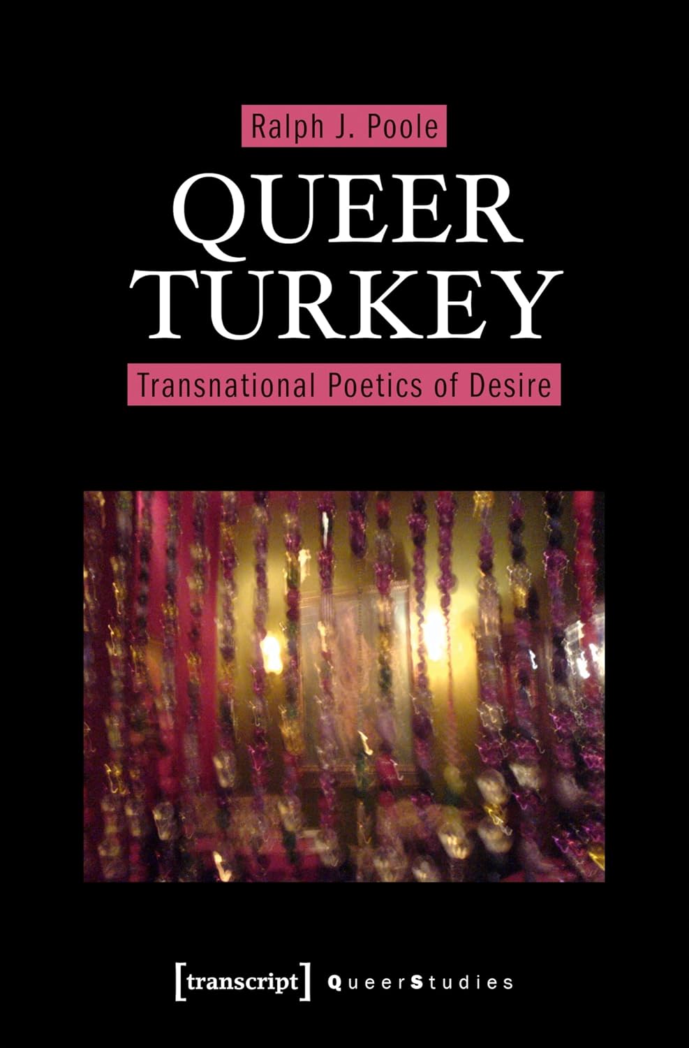Queer Turkey: Transnational Poetics of Desire (Queer Studies Book 25) (English Edition) baixar o livro de graça
