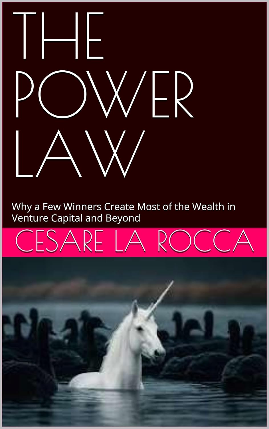 THE POWER LAW: Why a Few Winners Create Most of the Wealth in Venture Capital and Beyond (English Edition) baixar o livro de graça