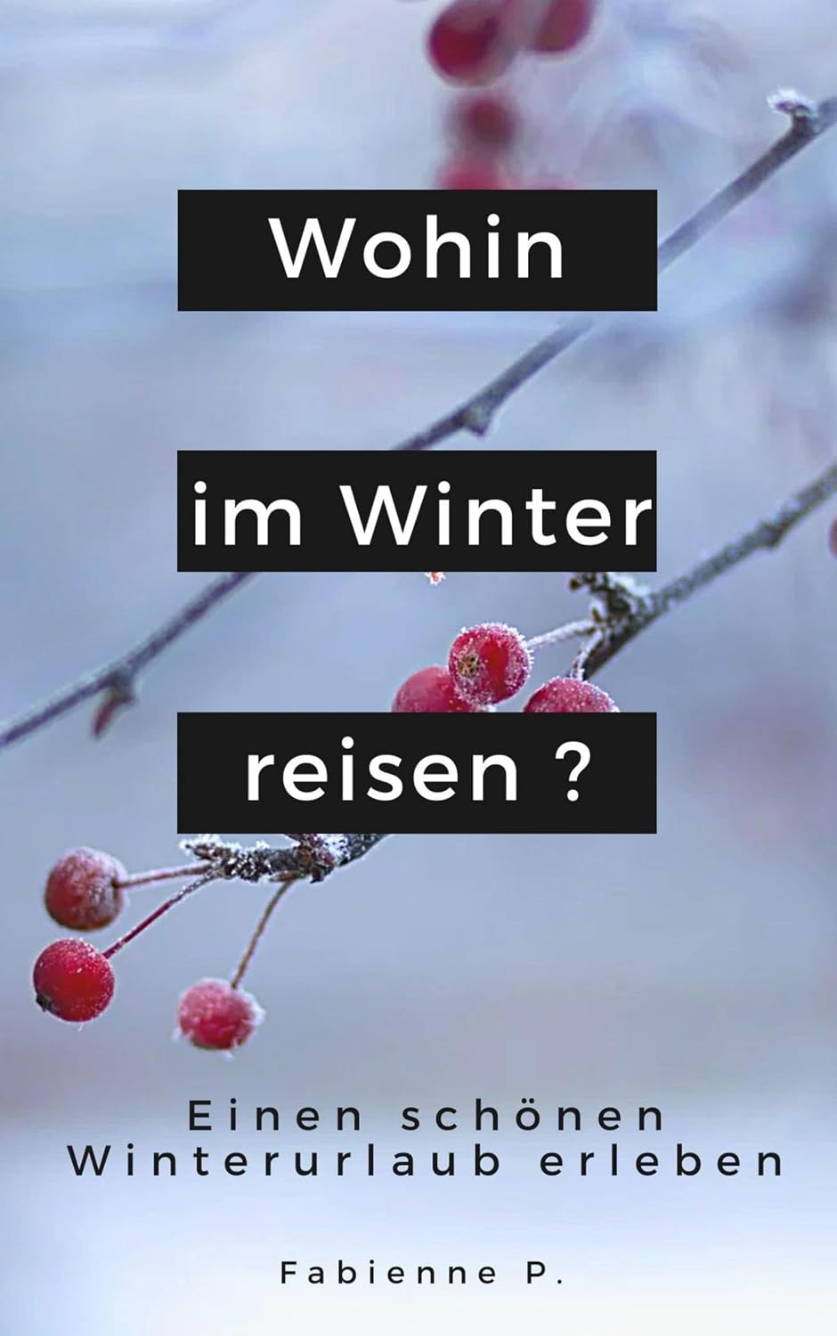 ler totalmente Wohin im Winter reisen ?: Einen schönen Winterurlaub erleben (German Edition)