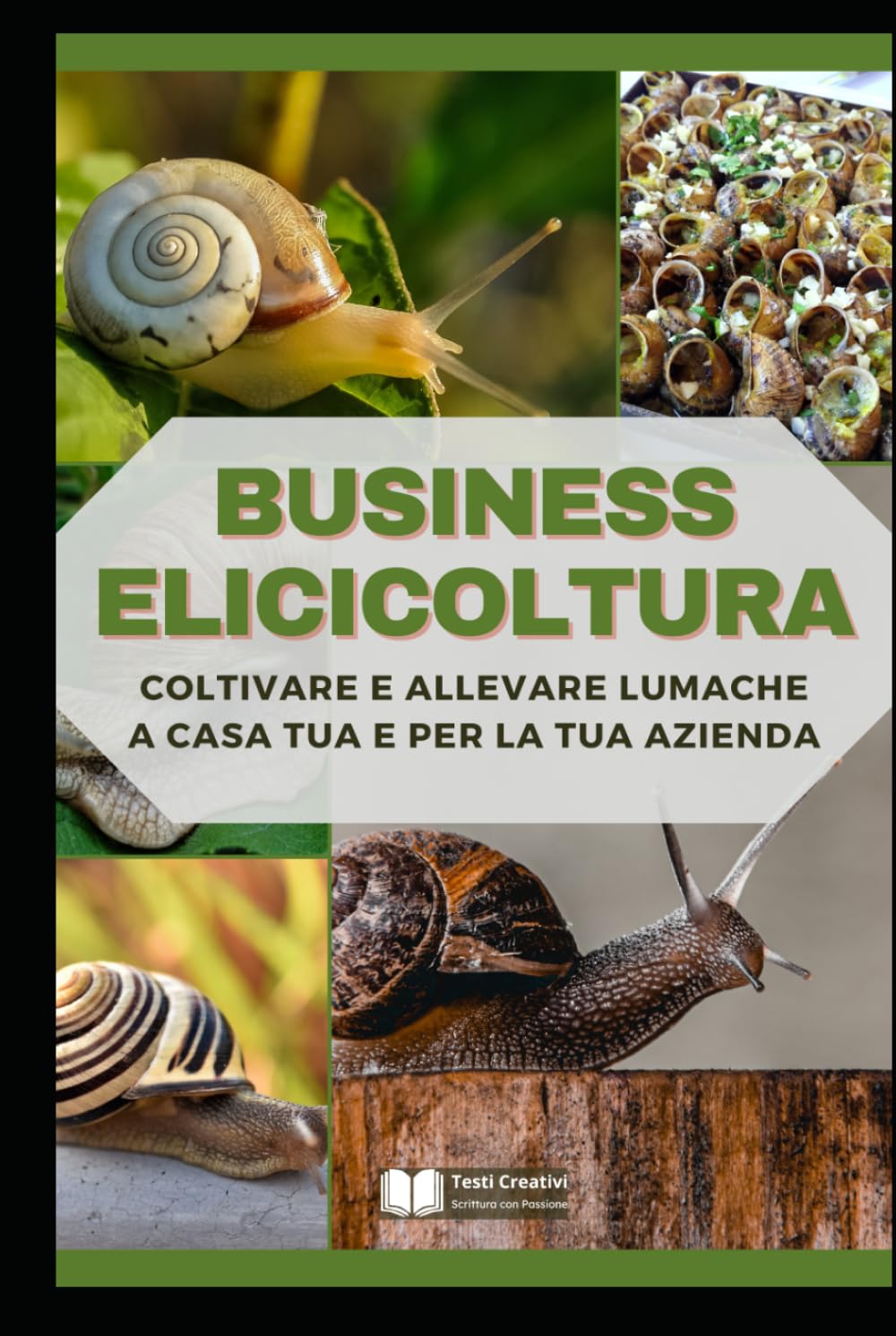 Business Elicicoltura: Coltivare e Allevare Lumache a Casa Tua e per la Tua Azienda (Allevamento Domestico & Produzioni Sostenibili) (Italian Edition) baixar o livro de graça