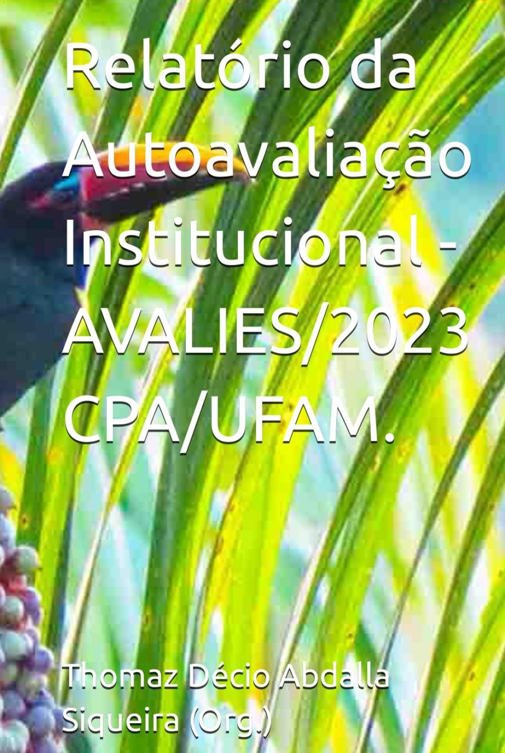 ler totalmente Relatório da Autoavaliação Institucional - AVALIES/2023 CPA/UFAM. (Portuguese Edition)