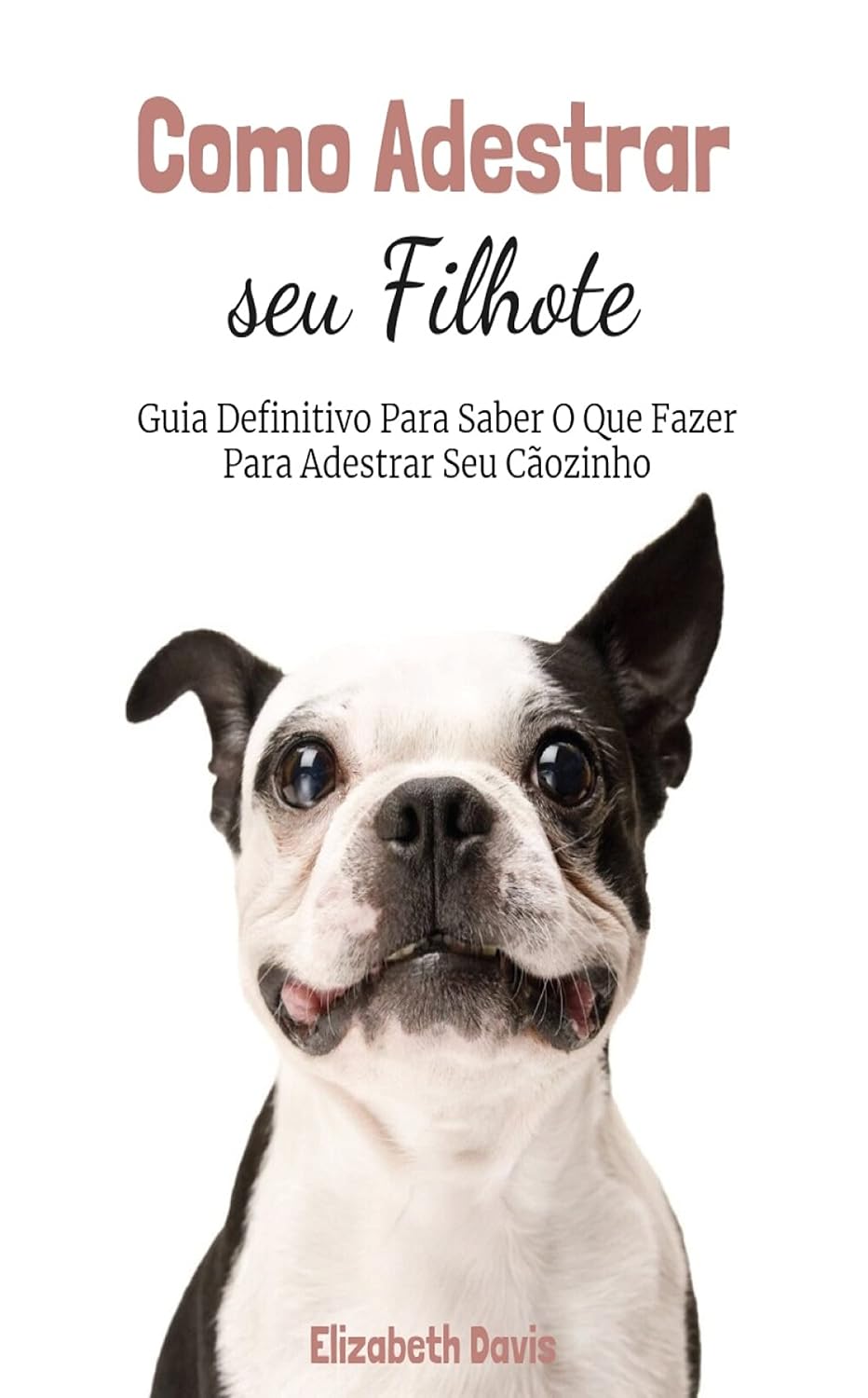 Como Adestrar Seu Filhote?: Guia Definitivo Para Saber O Que Fazer Para Adestrar Seu Cãozinho baixar o livro de graça
