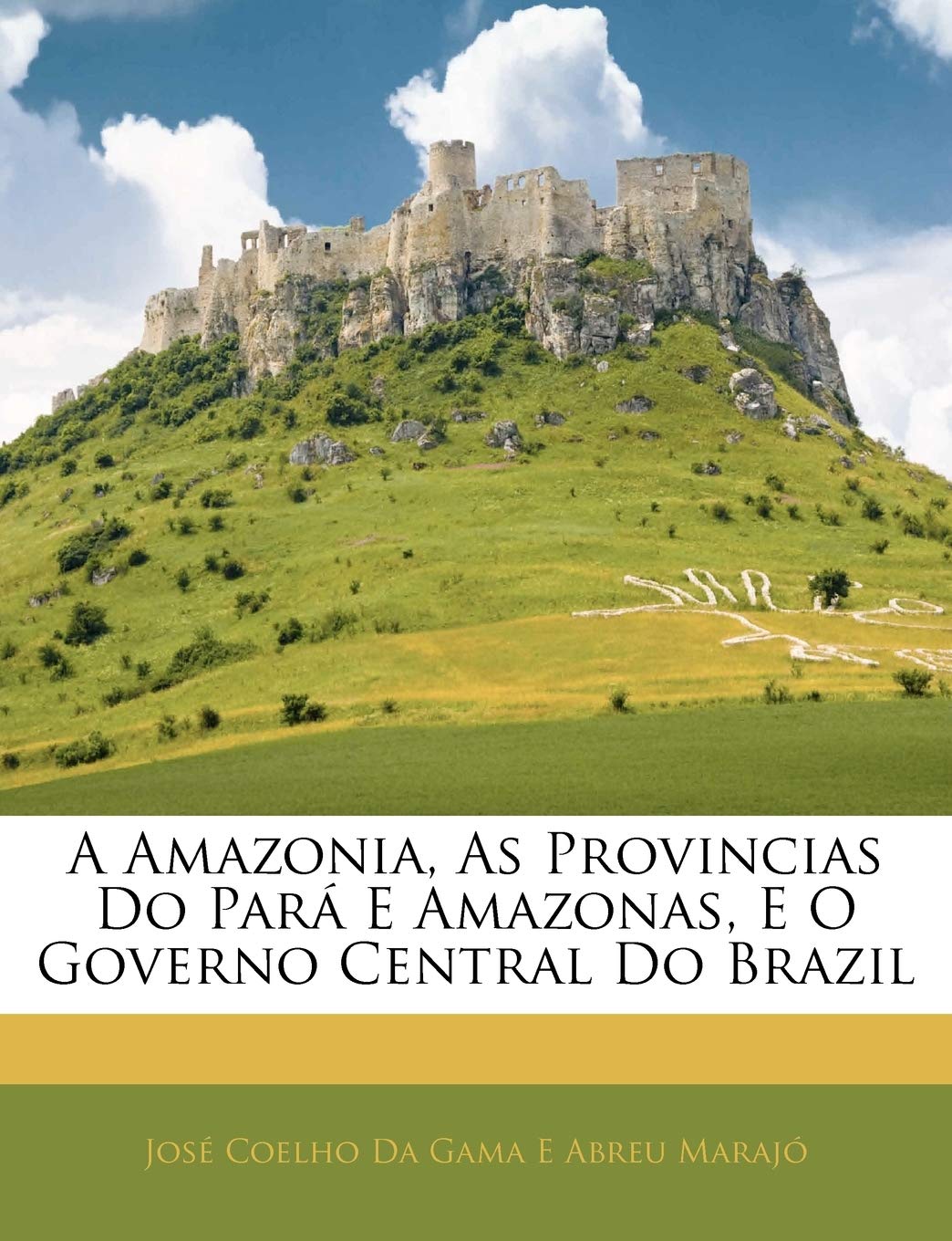 capítulo por capítulo baixar A Amazonia, As Provincias Do Pará E Amazonas, E O Governo Central Do Brazil