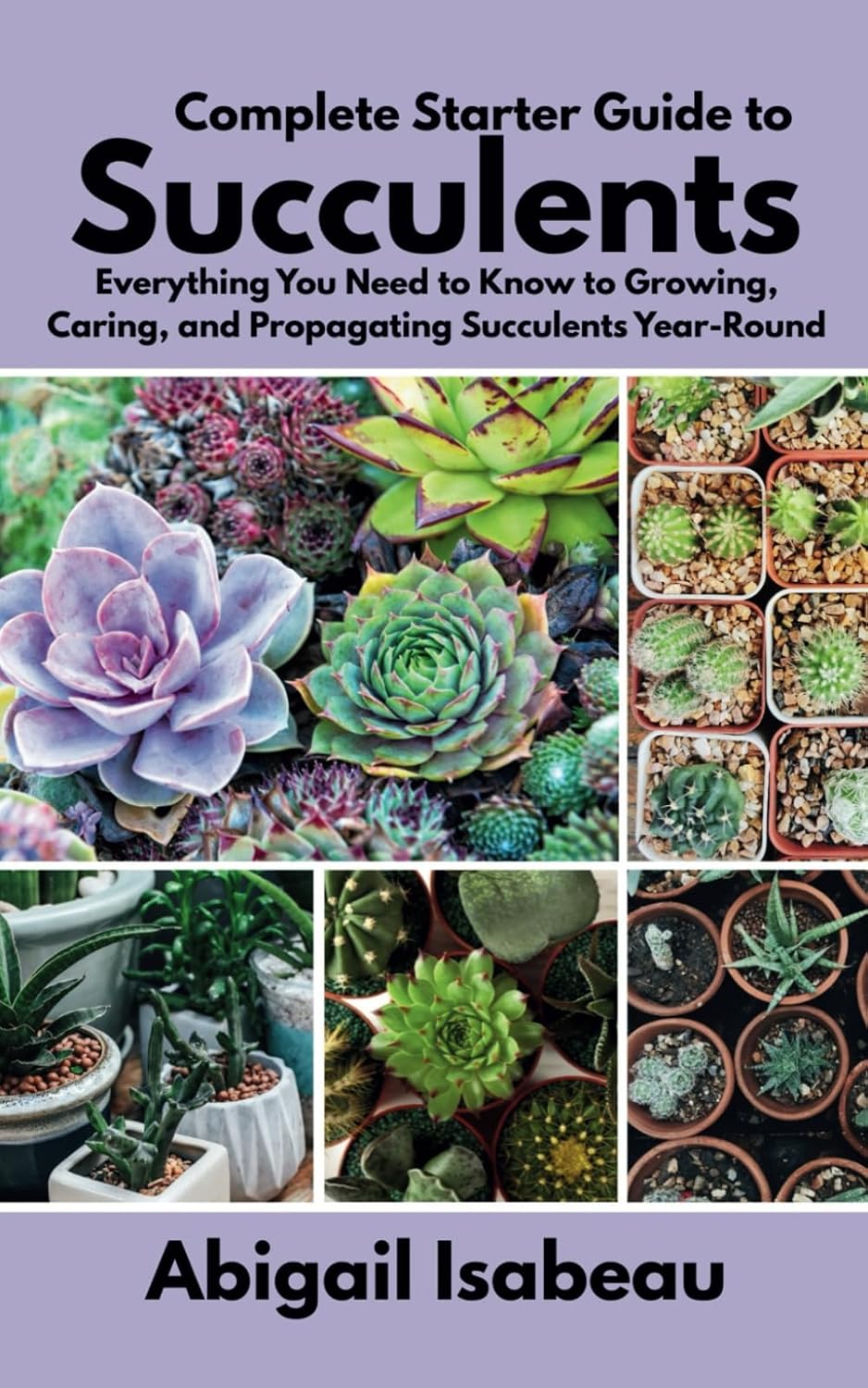 Complete Starter Guide to Succulents: Everything You Need to Know to Growing, Caring, and Propagating Succulents Year-Round baixar o livro de graça