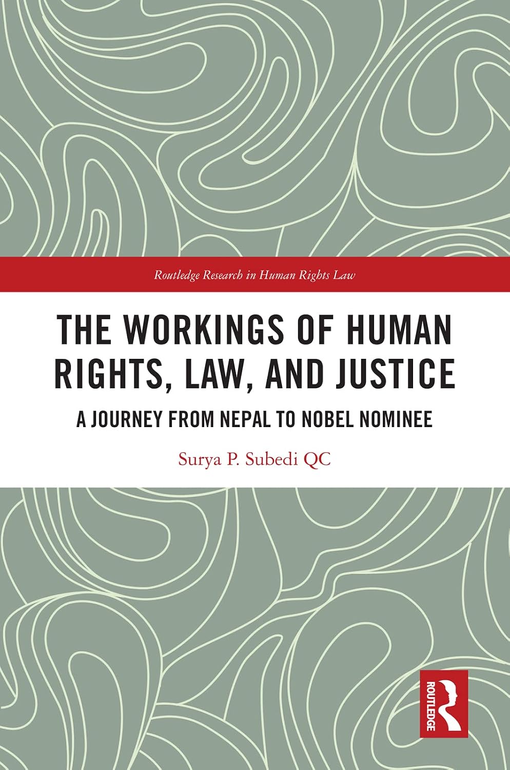 The Workings of Human Rights, Law and Justice: A Journey from Nepal to Nobel Nominee (Routledge Research in Human Rights Law) (English Edition) baixar livro de graça