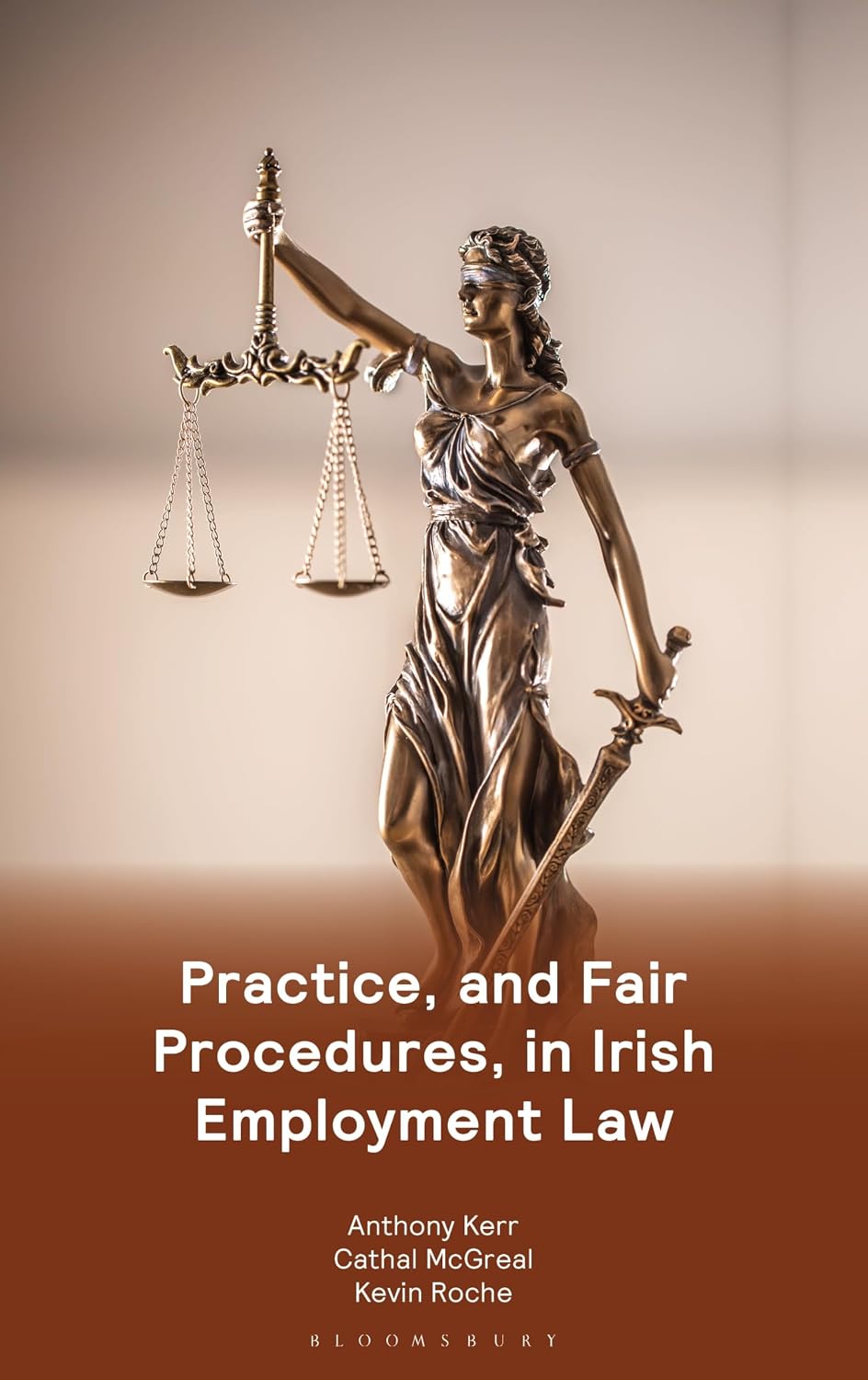ler totalmente Practice, and Fair Procedures, in Irish Employment Law (English Edition)