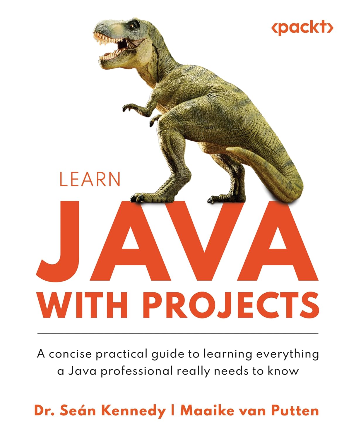 Learn Java with Projects: A concise practical guide to learning everything a Java professional really needs to know (English Edition) baixar o livro de graça