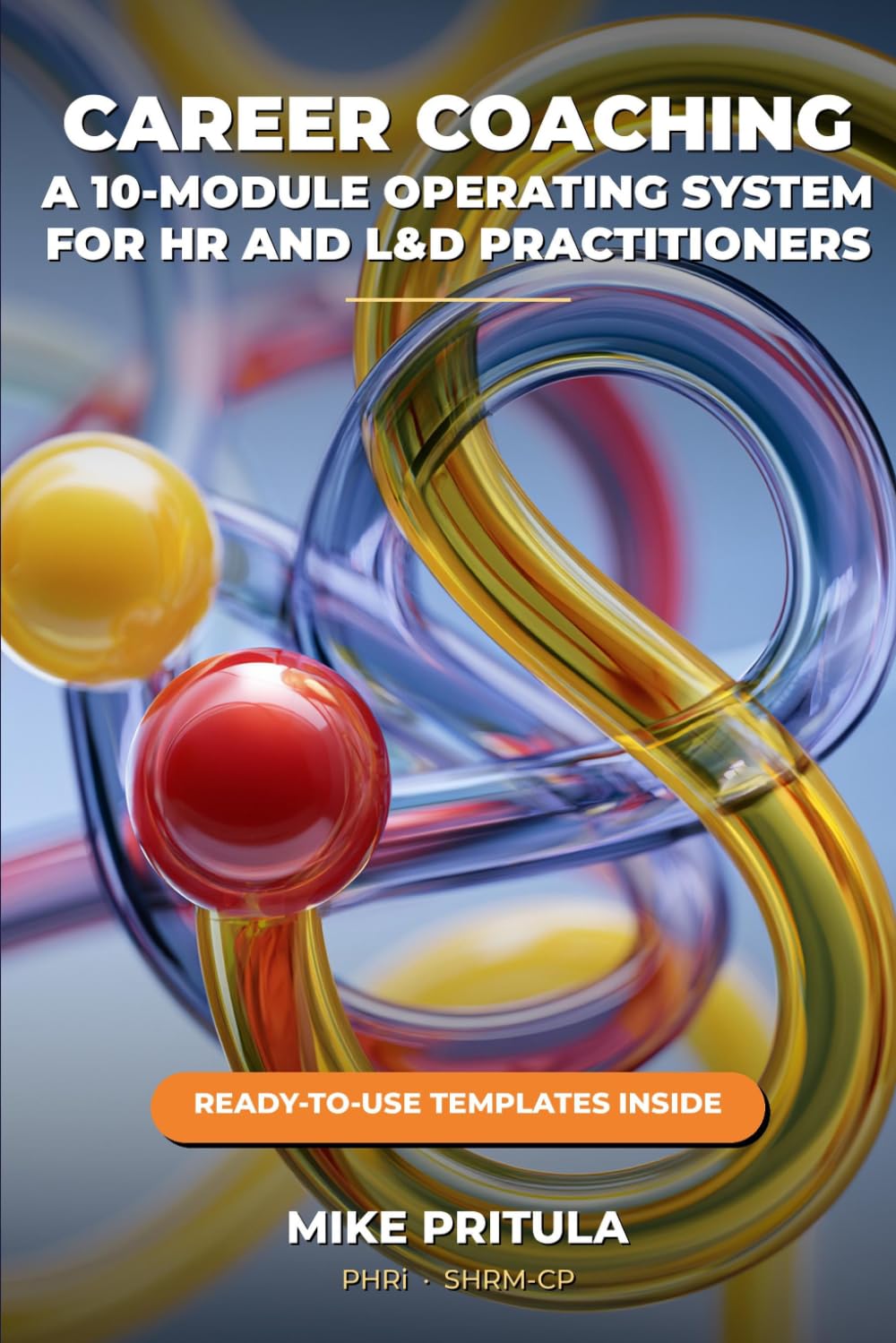 Career Coaching: A 10-Module Operating System for HR and L&D Practitioners baixar livro de graça