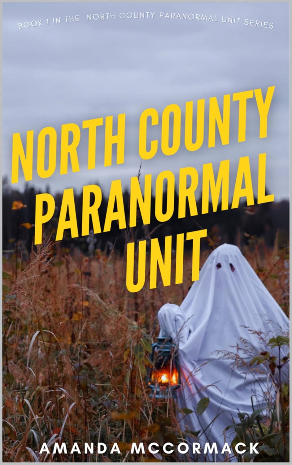 North County Paranormal Unit: North County Paranormal Unit #1 (English Edition) baixar livro de graça