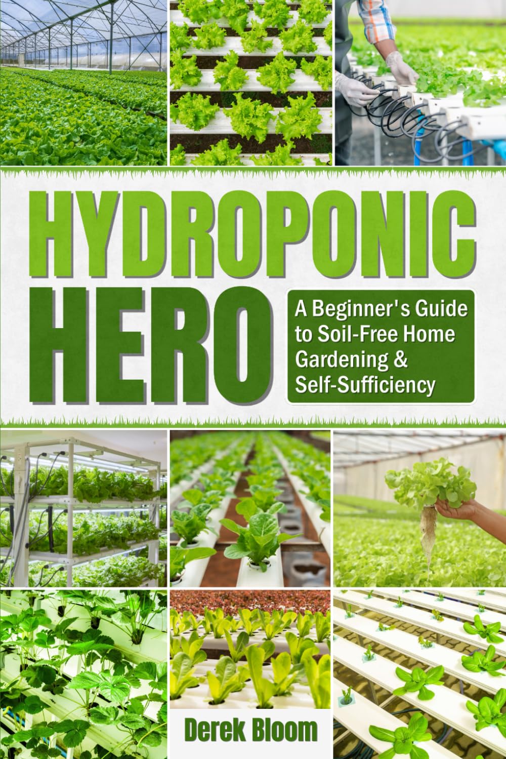 Hydroponic Hero: A Beginner’s Guide to Soil-Free Home Gardening & Self-Sufficiency baixar o livro de graça