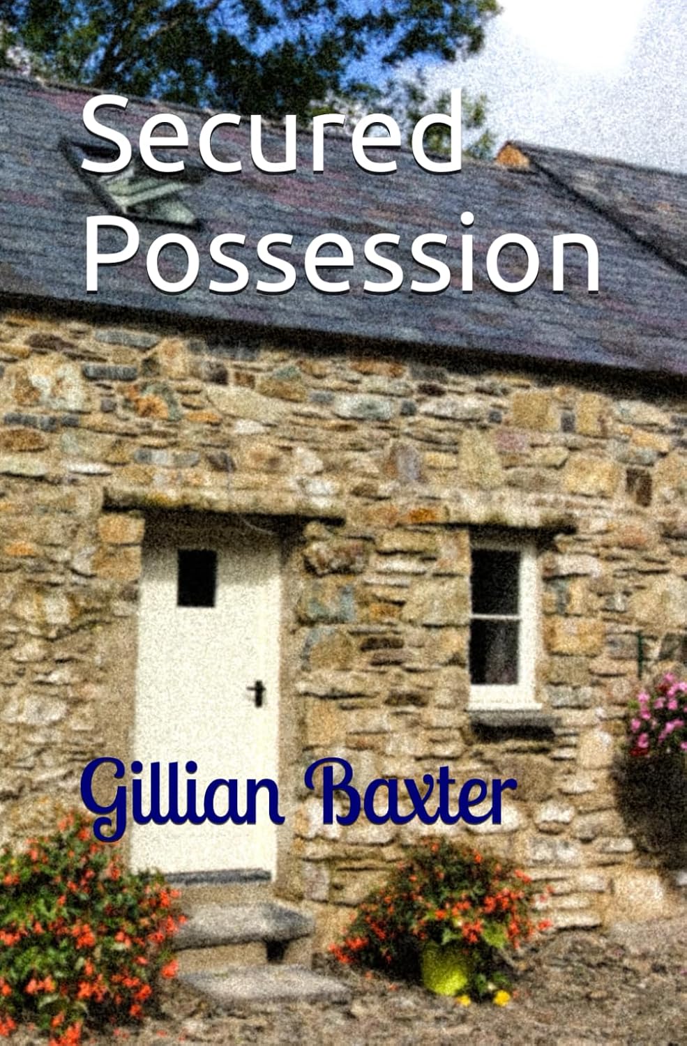 Secured Possession (Patsy Possession Series) baixar livro de graça