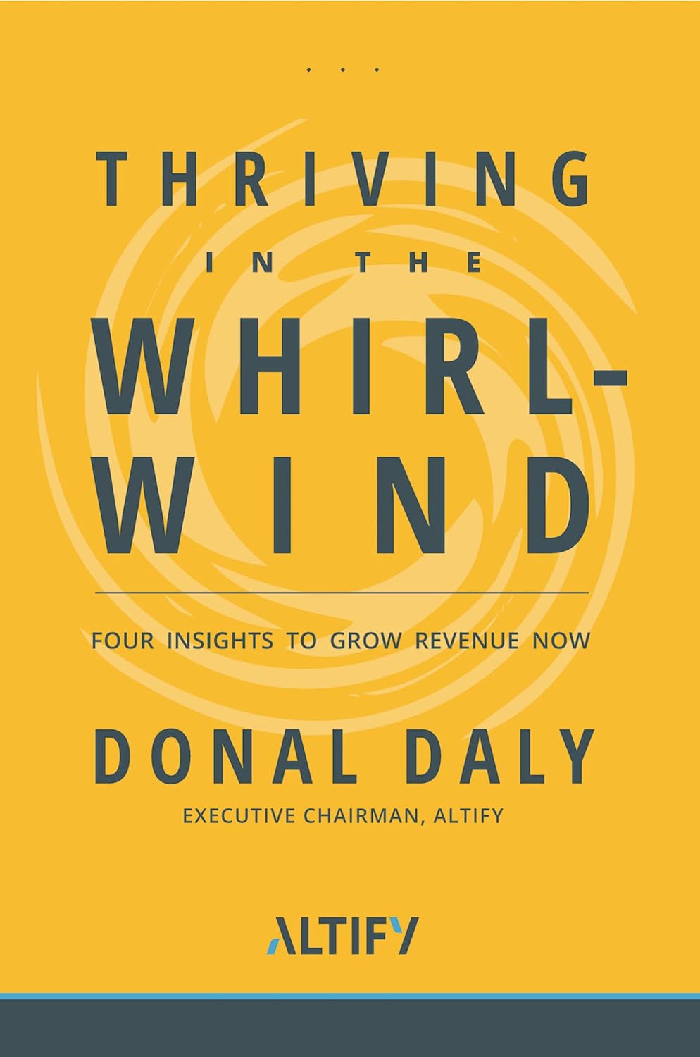 capítulo por capítulo baixar Thriving in the Whirlwind: Four Insights to Grow Revenue Now (English Edition)