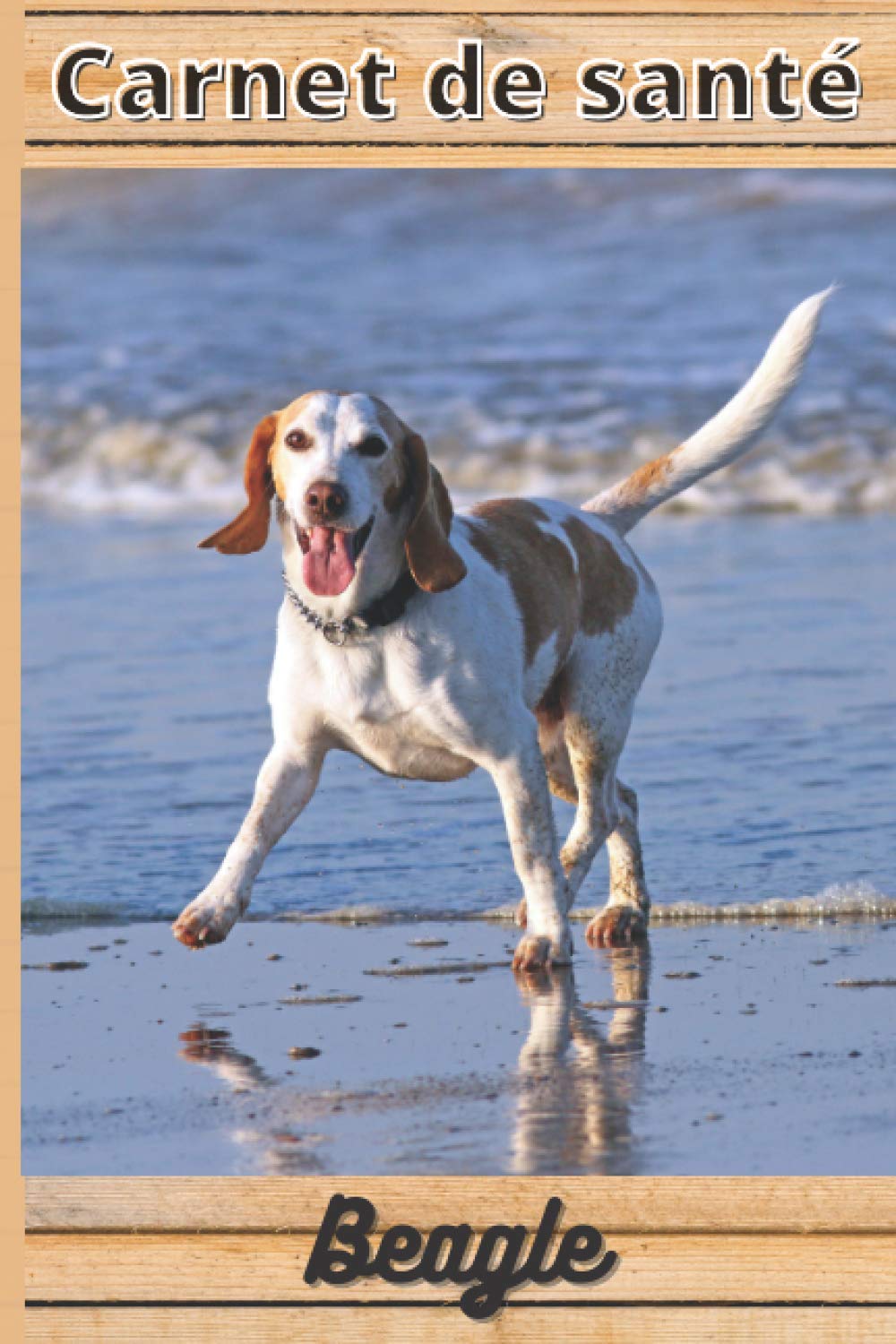 CARNET DE SANTE BEAGLE: Mon cahier de suivi santé chien Beagle à remplir ou compléter | Mon carnet santé chien | journal de bord suivi santé |... cm sur 22,86 cm 101 pages (French Edition) baixar o livro de graça