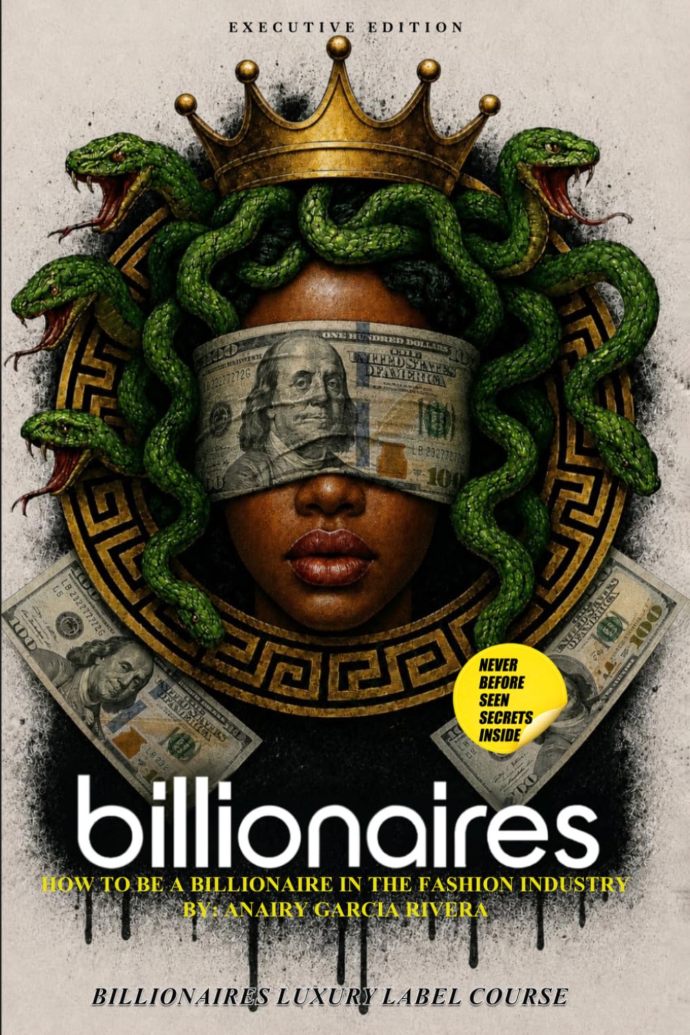 ler totalmente HOW TO BE A BILLIONAIRE IN THE FASHION INDUSTRY (Billionaires Learning Series)