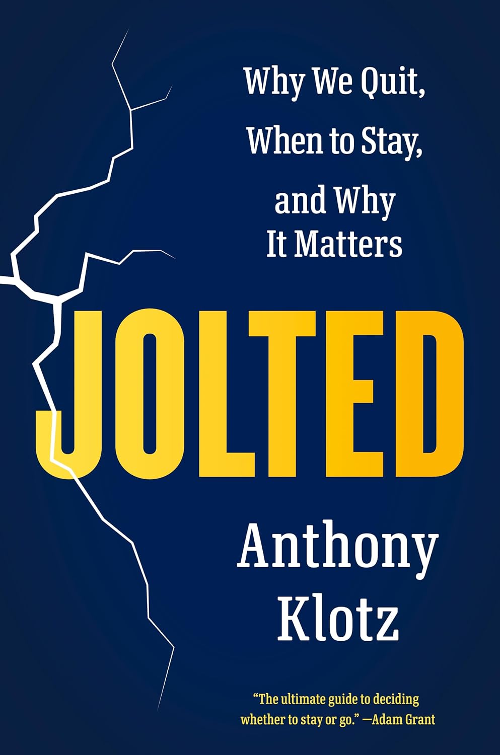 capítulo por capítulo baixar Jolted: Why We Quit, When to Stay, and Why It Matters
