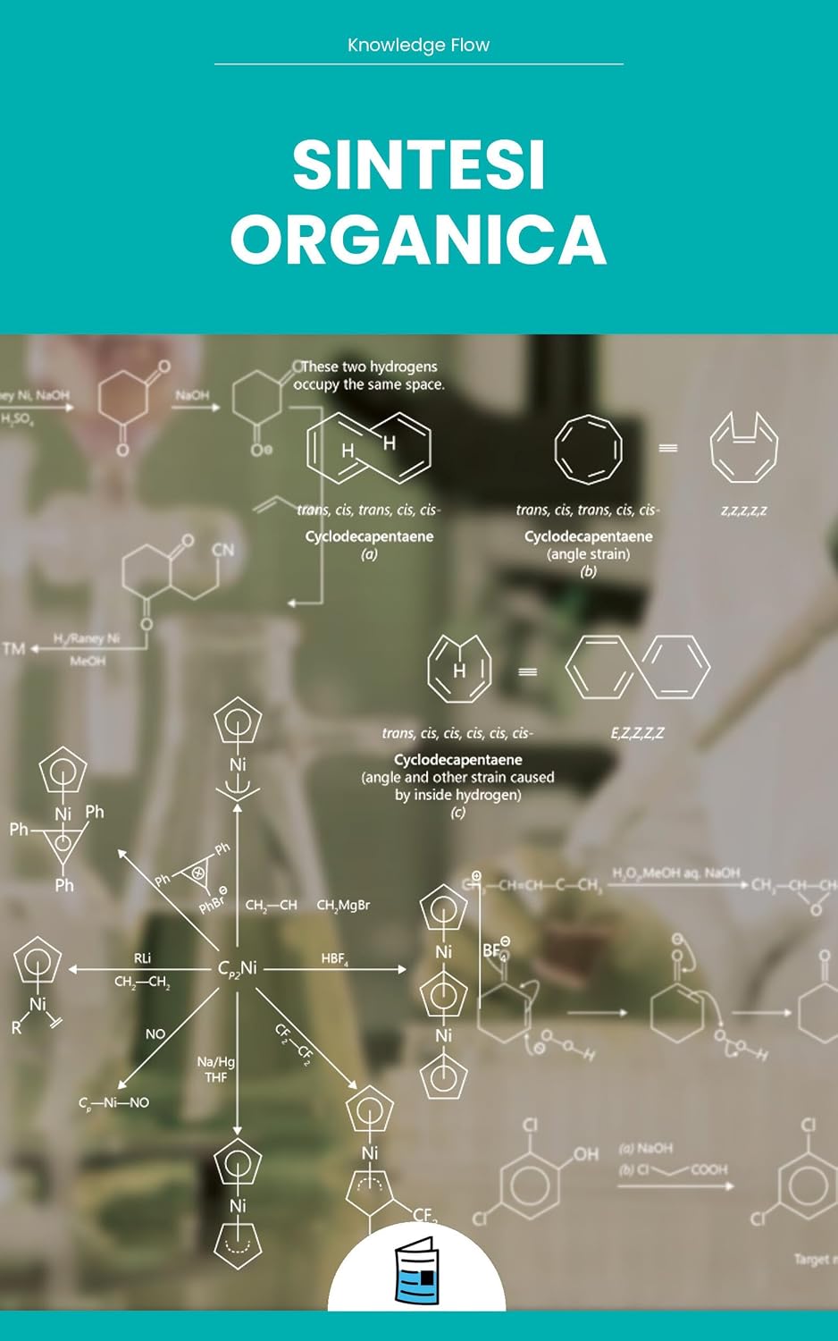 Sintesi Organica (Serie de Ciencias Médicas) (Italian Edition) baixar o livro de graça