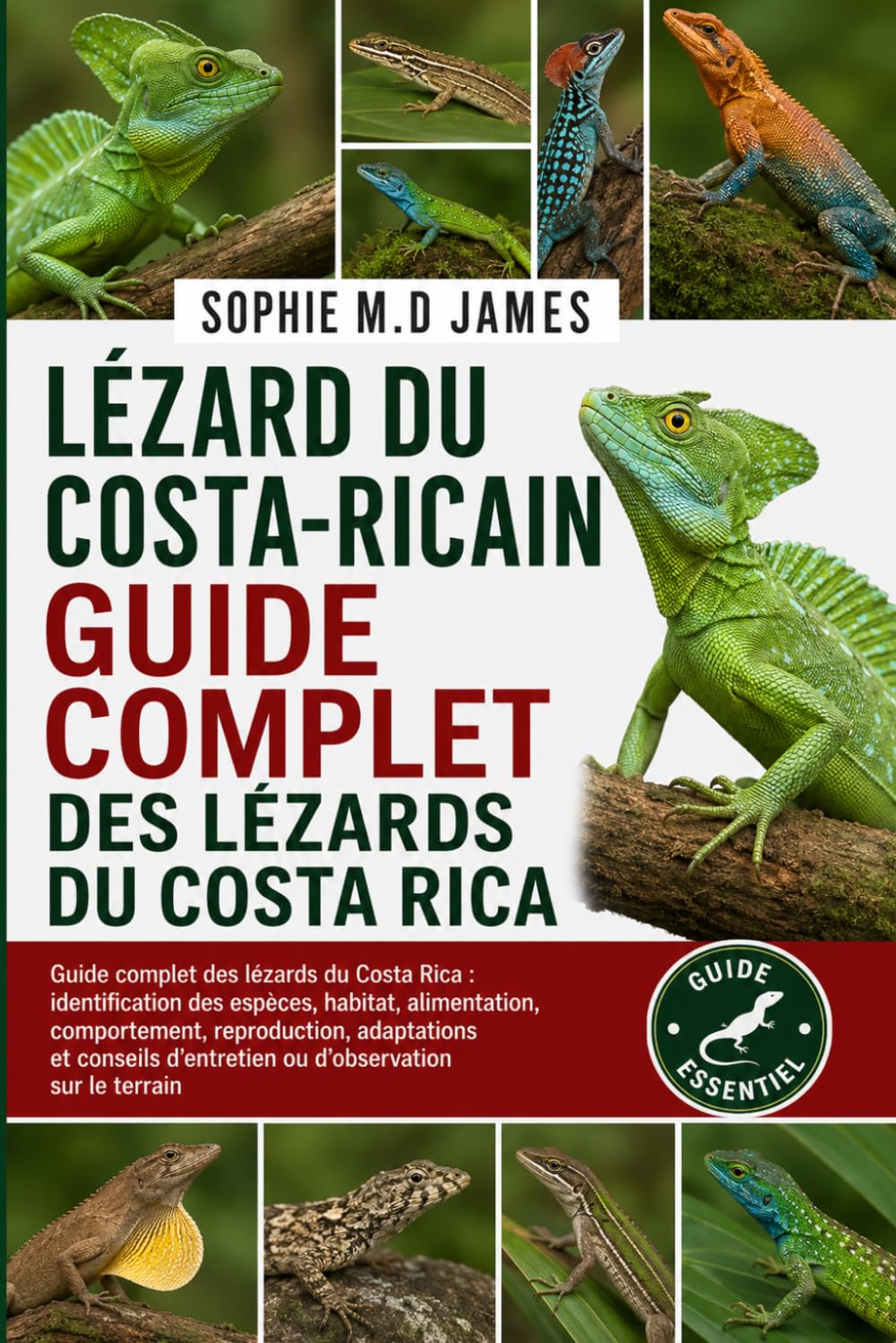 LÉZARD DU COSTA-RICAIN: Guide complet des lézards du Costa Rica: identification des espèces, habitat, alimentation, comportement, reproduction,... d’observation sur le terrain (French Edition) baixar livro de graça
