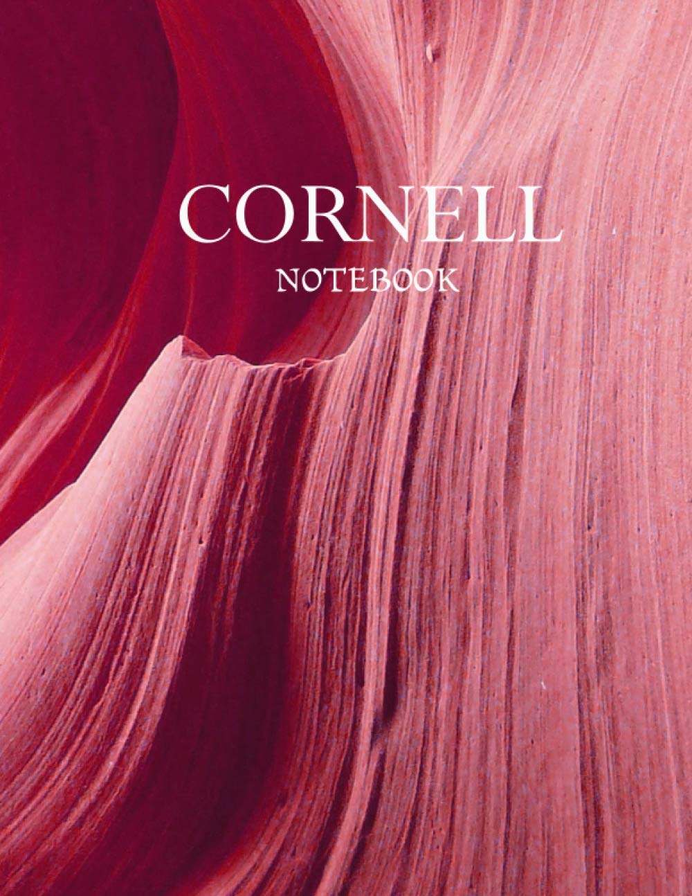 capítulo por capítulo baixar Cornell Notebook: Cornell Note Paper College Ruled Medium Lined Journal Note Taking System School and University Notebook | 120 Pages, 8.5" x 11"