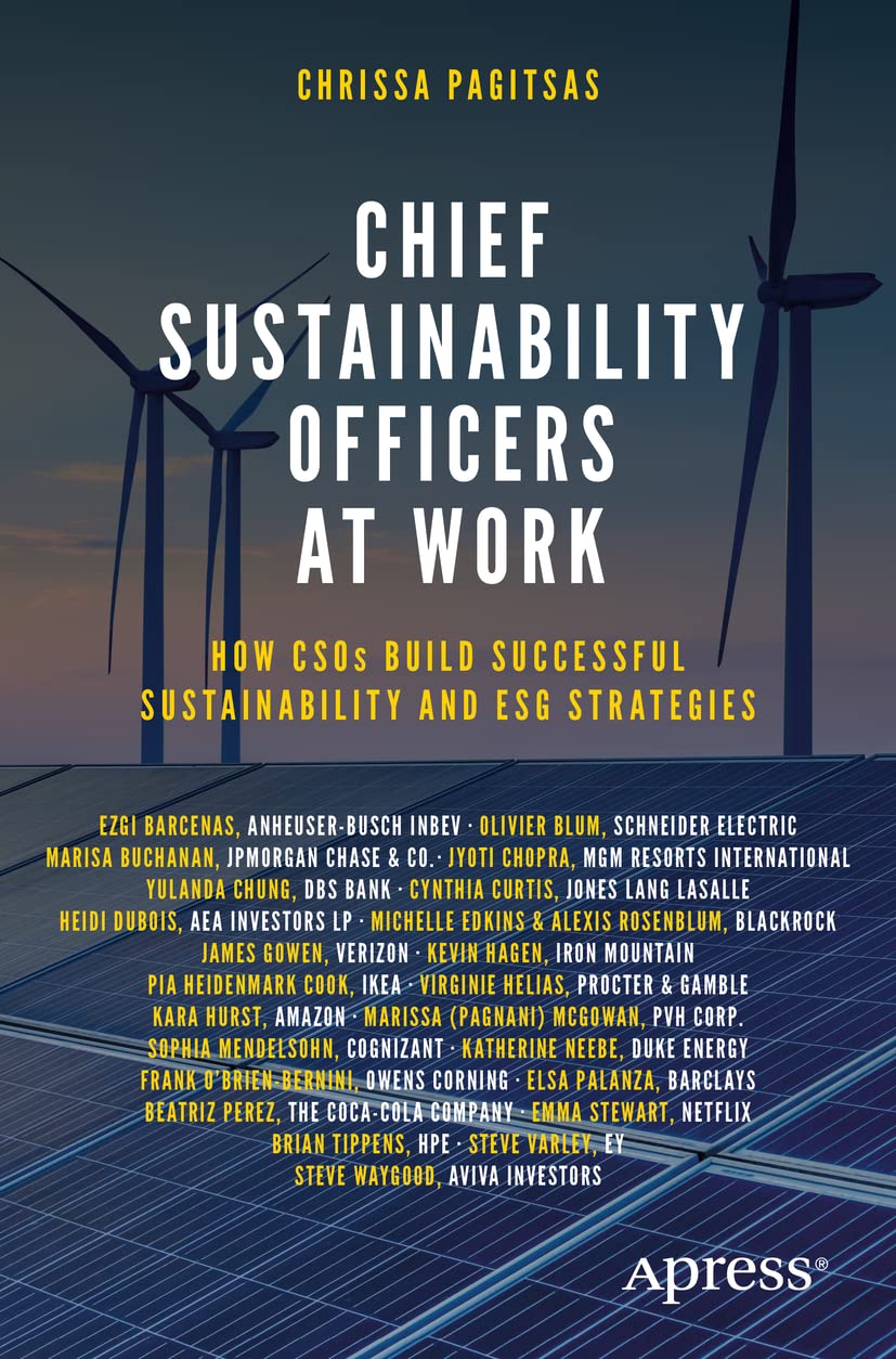 capítulo por capítulo baixar Chief Sustainability Officers At Work: How Csos Build Successful Sustainability and Esg Strategies