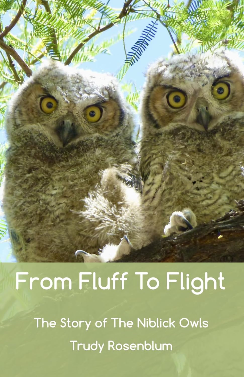 ler totalmente From Fluff to Flight: The Story of the Niblick Owls