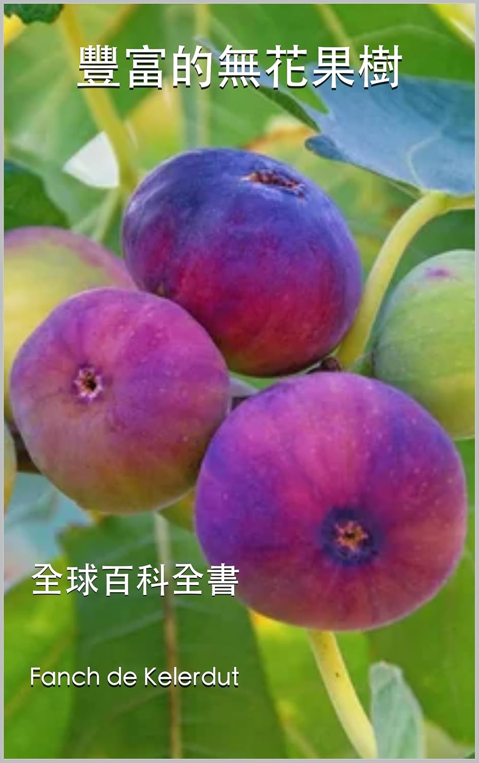 豐富的無花果樹: 全球百科全書 (Traditional Chinese Edition)