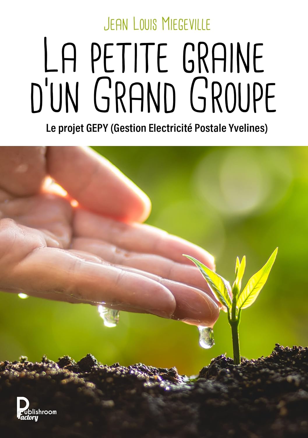 La petite graine d'un Grand Groupe: Le projet GEPY (Gestion Electricité Postale Yvelines) (French Edition) baixar o livro de graça