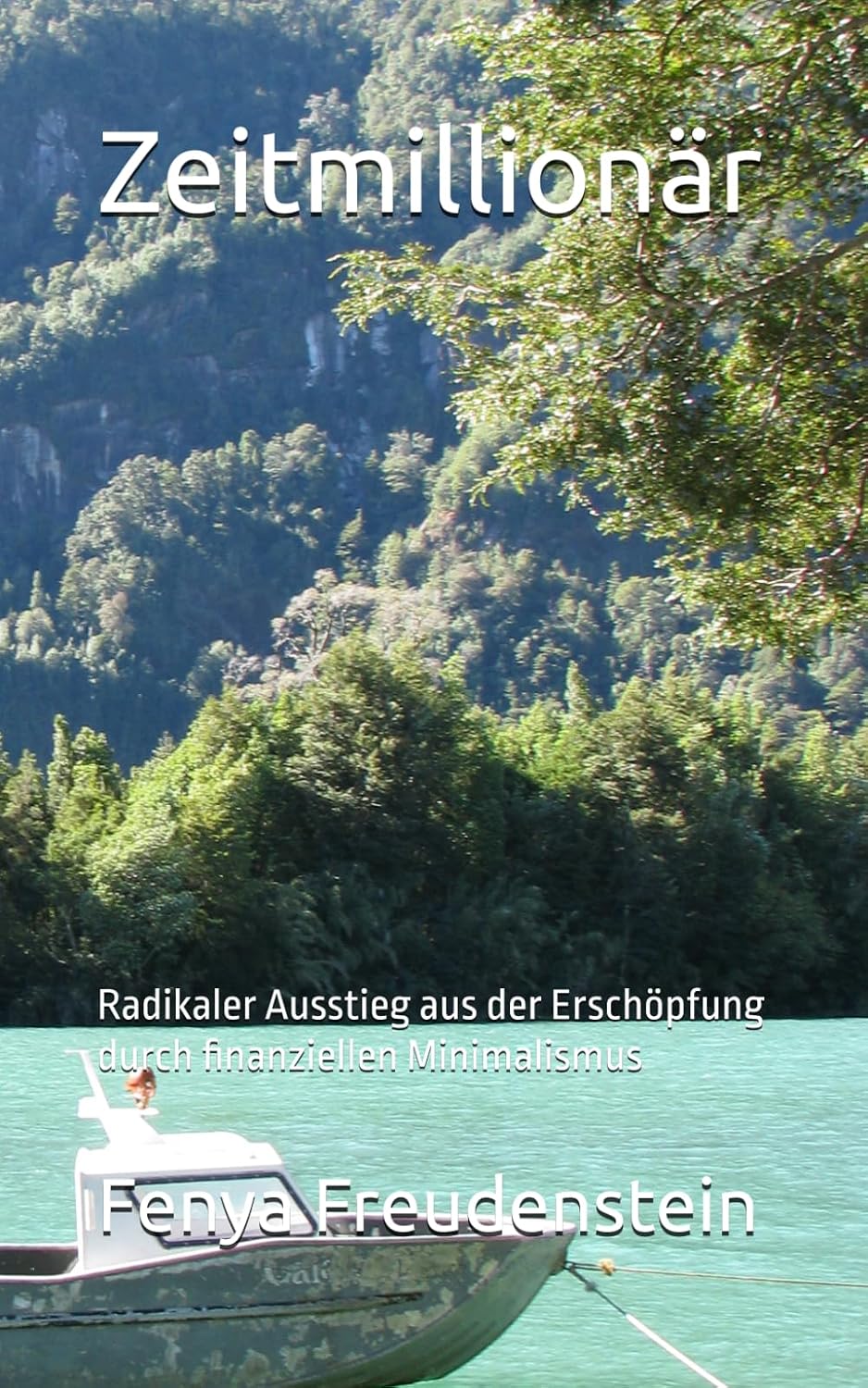 Zeitmillionär: Radikaler Ausstieg aus der Erschöpfung durch finanziellen Minimalismus (Das Leuchten im Alltäglichen) (German Edition) baixar o livro de graça