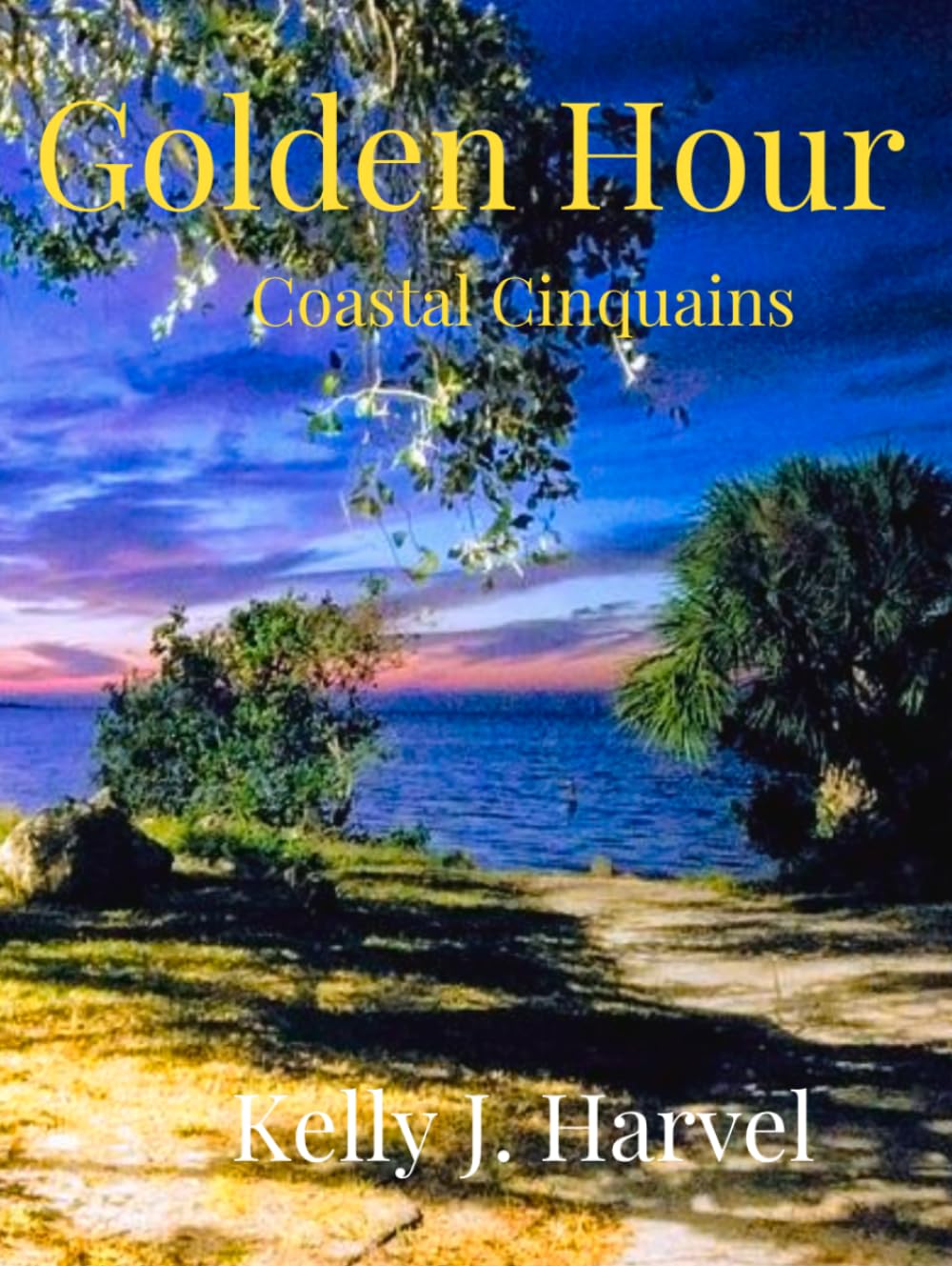 Golden Hour: Coastal Cinquains baixar o livro de graça
