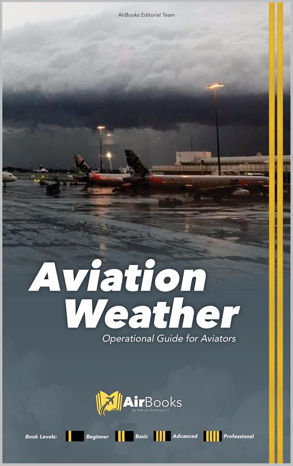 Aviation Weather: Operational Guide for Aviators. Premium Full-Color Edition (English Edition) baixar o livro de graça