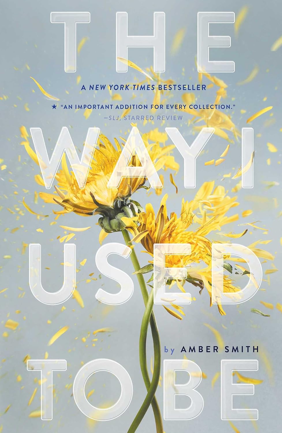 The Way I Used to Be (English Edition) baixar livro de graça